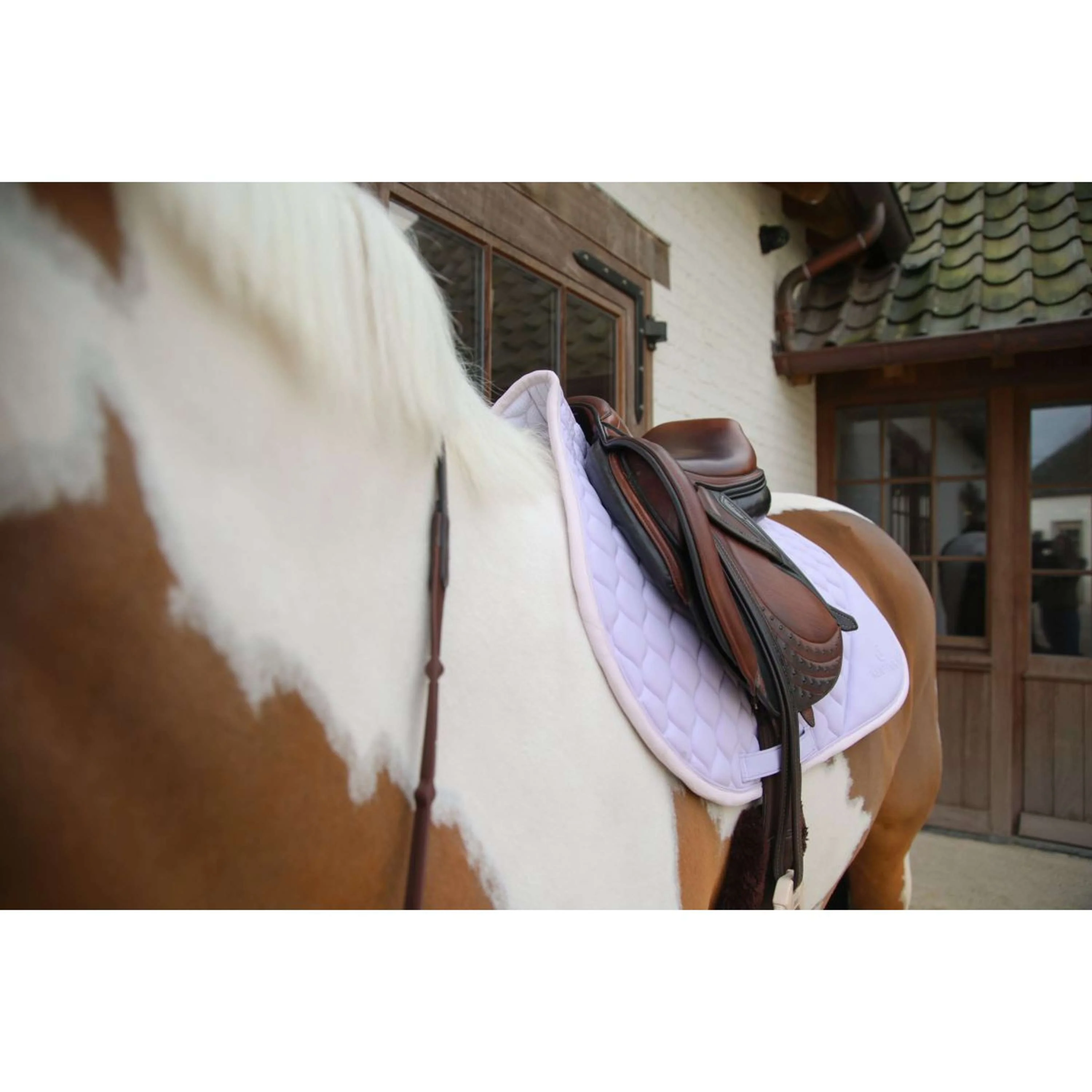 Kentucky Horsewear Tapis de Selle Softshell Onion Quilt de Saut Violet clair/Rose clair - Image 7