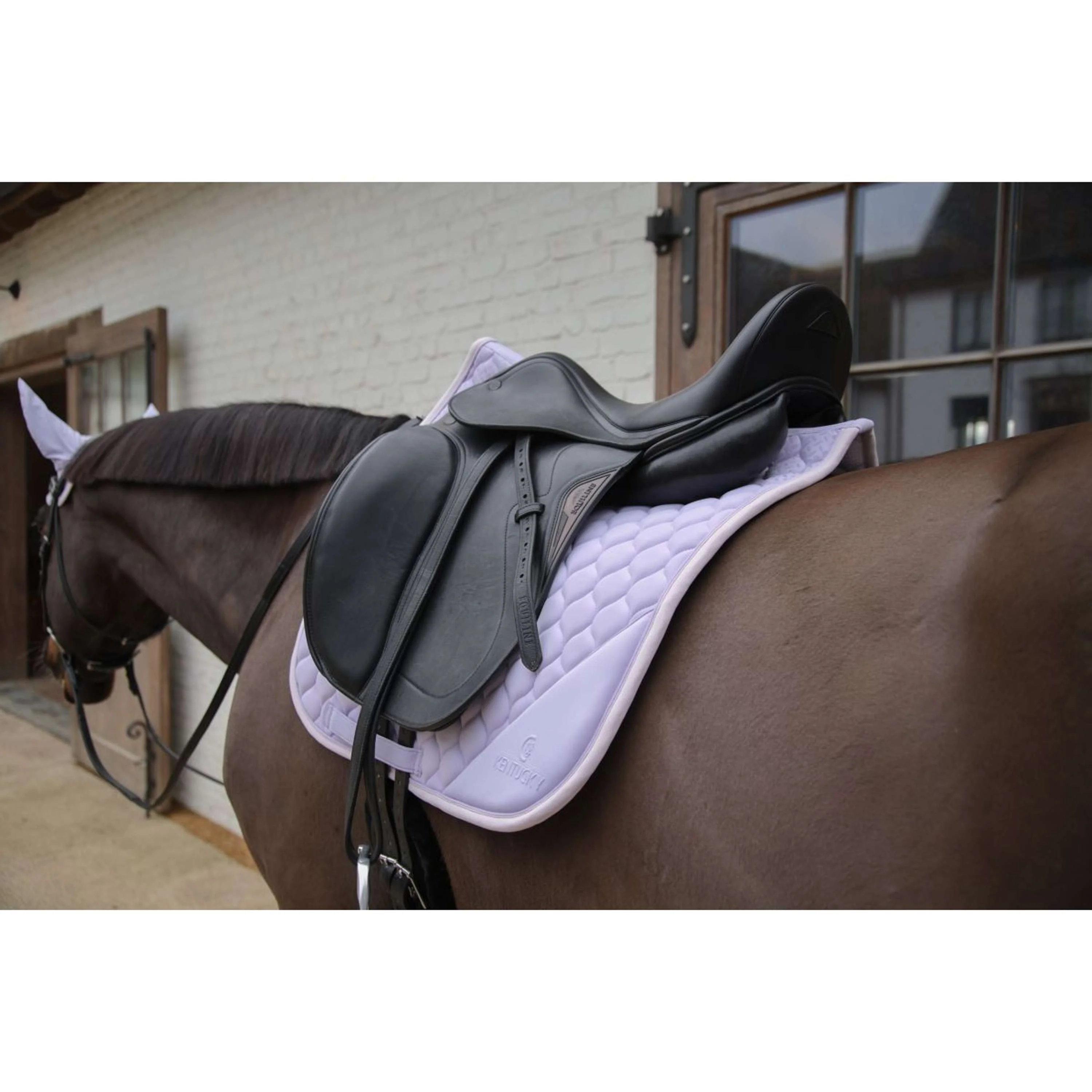 Kentucky Horsewear Tapis de Selle Softshell Onion Quilt Dressage Violet clair/Rose clair - Image 5