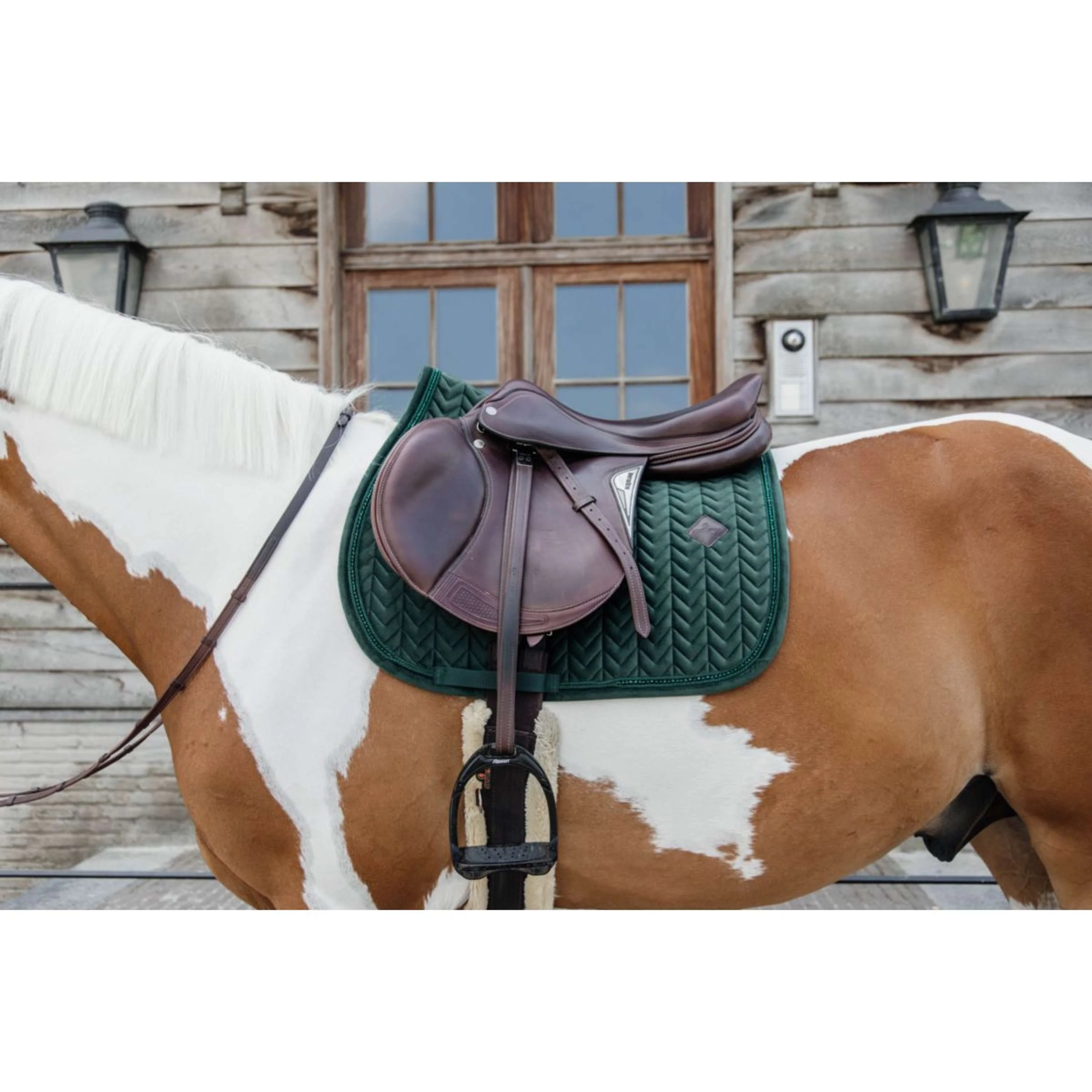 Kentucky Housse de Selle Dressur Gris - Image 4