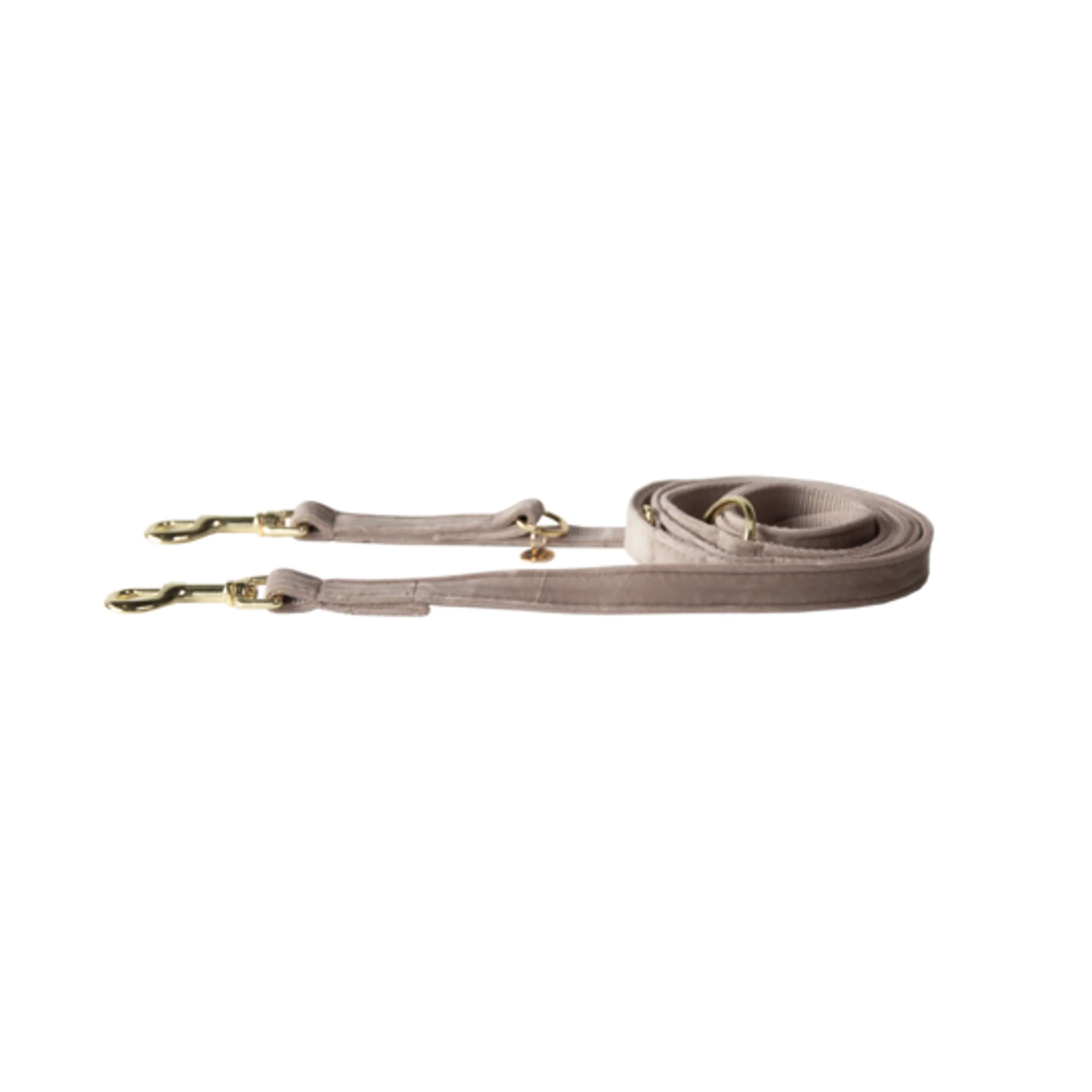 Kentucky Laisse pour Chien velours Beige - Image 4