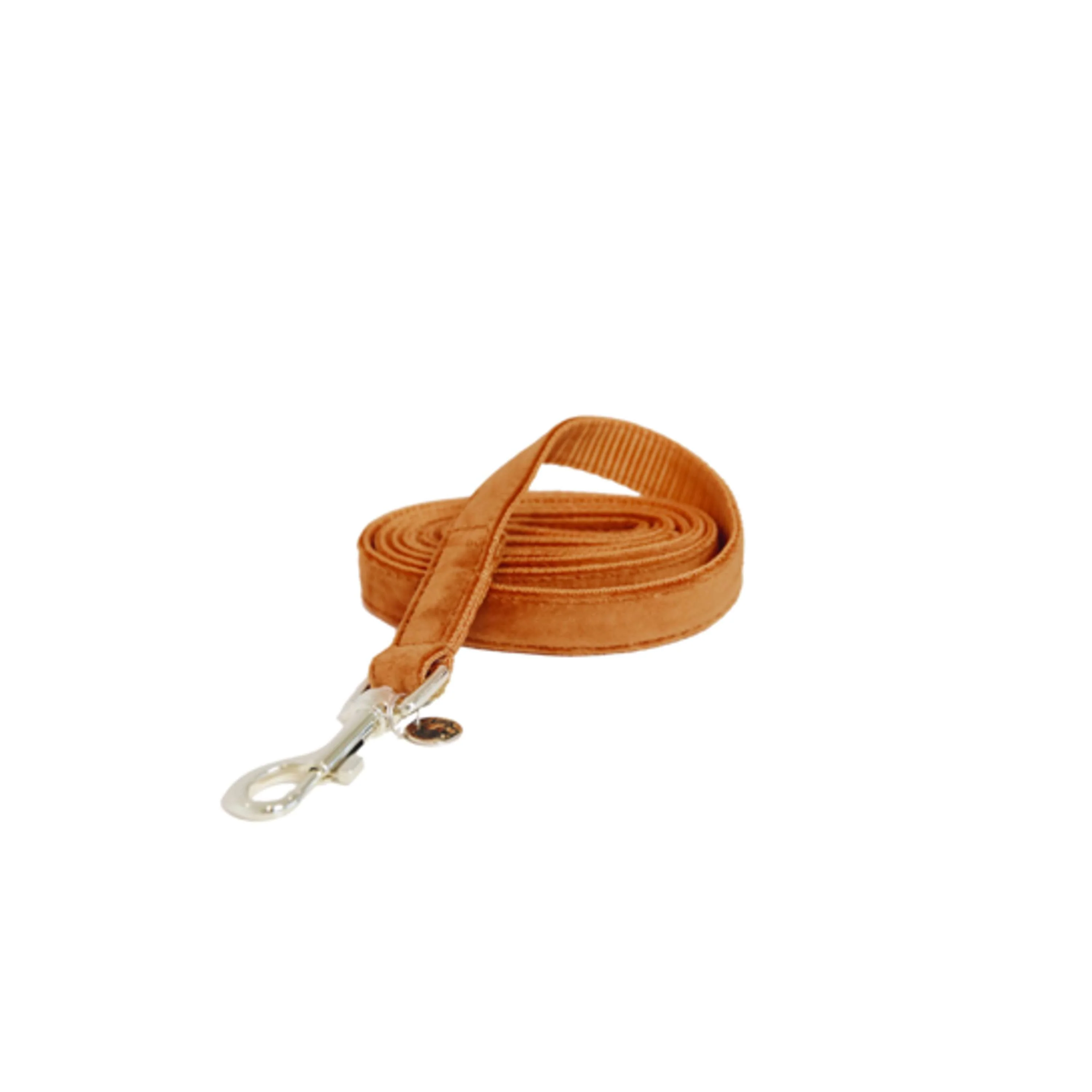 Kentucky Laisse pour Chien velours Orange - Image 3