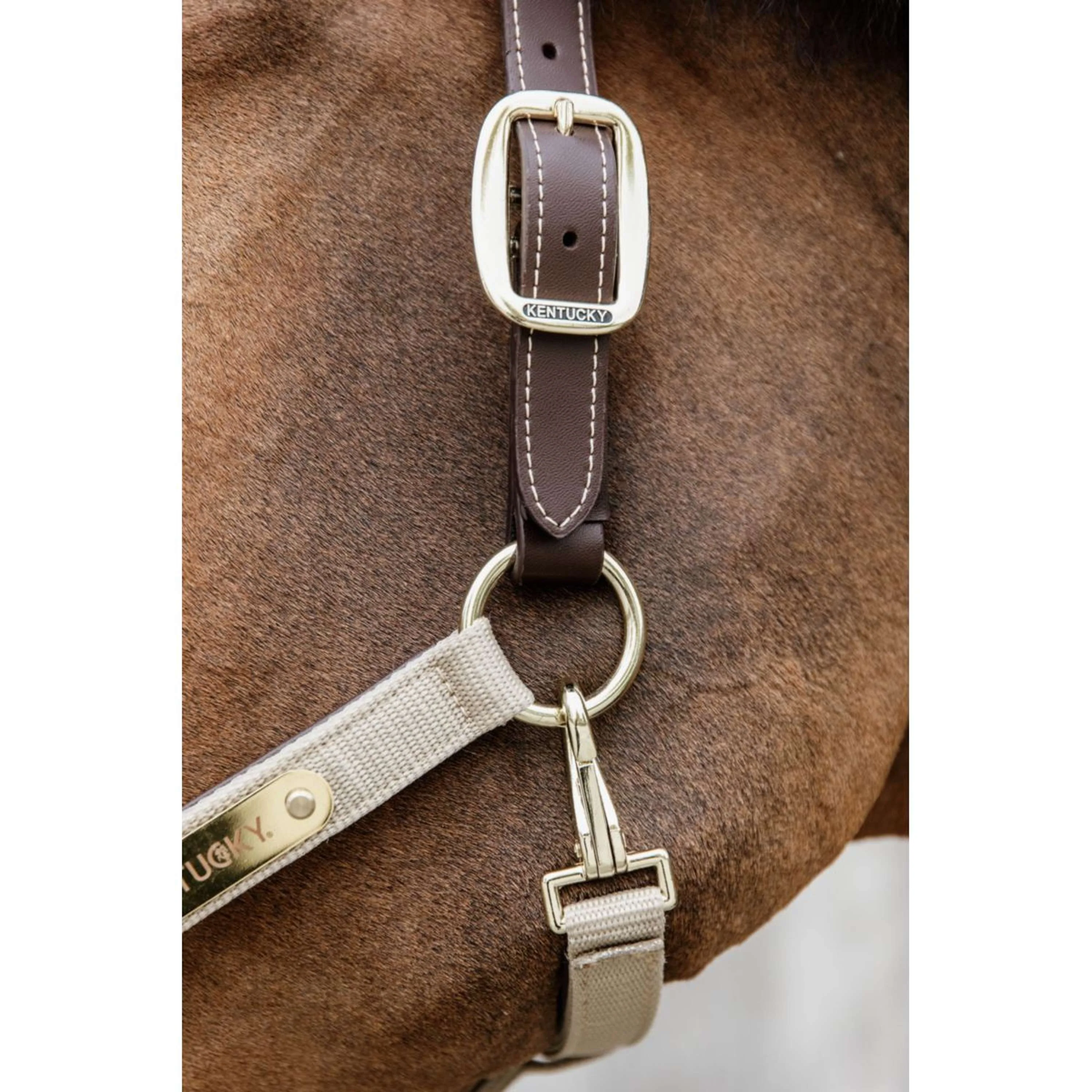 Kentucky Licol Anatomic Nylon Beige - Image 3
