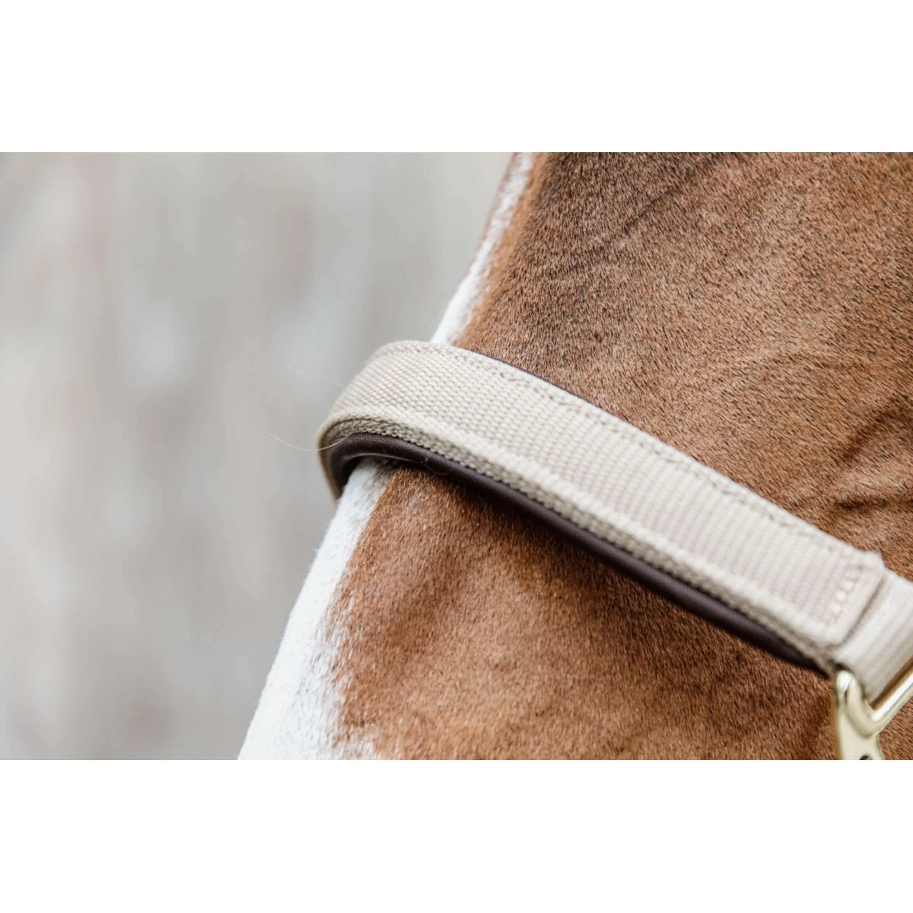 Kentucky Licol Anatomic Nylon Beige - Image 4