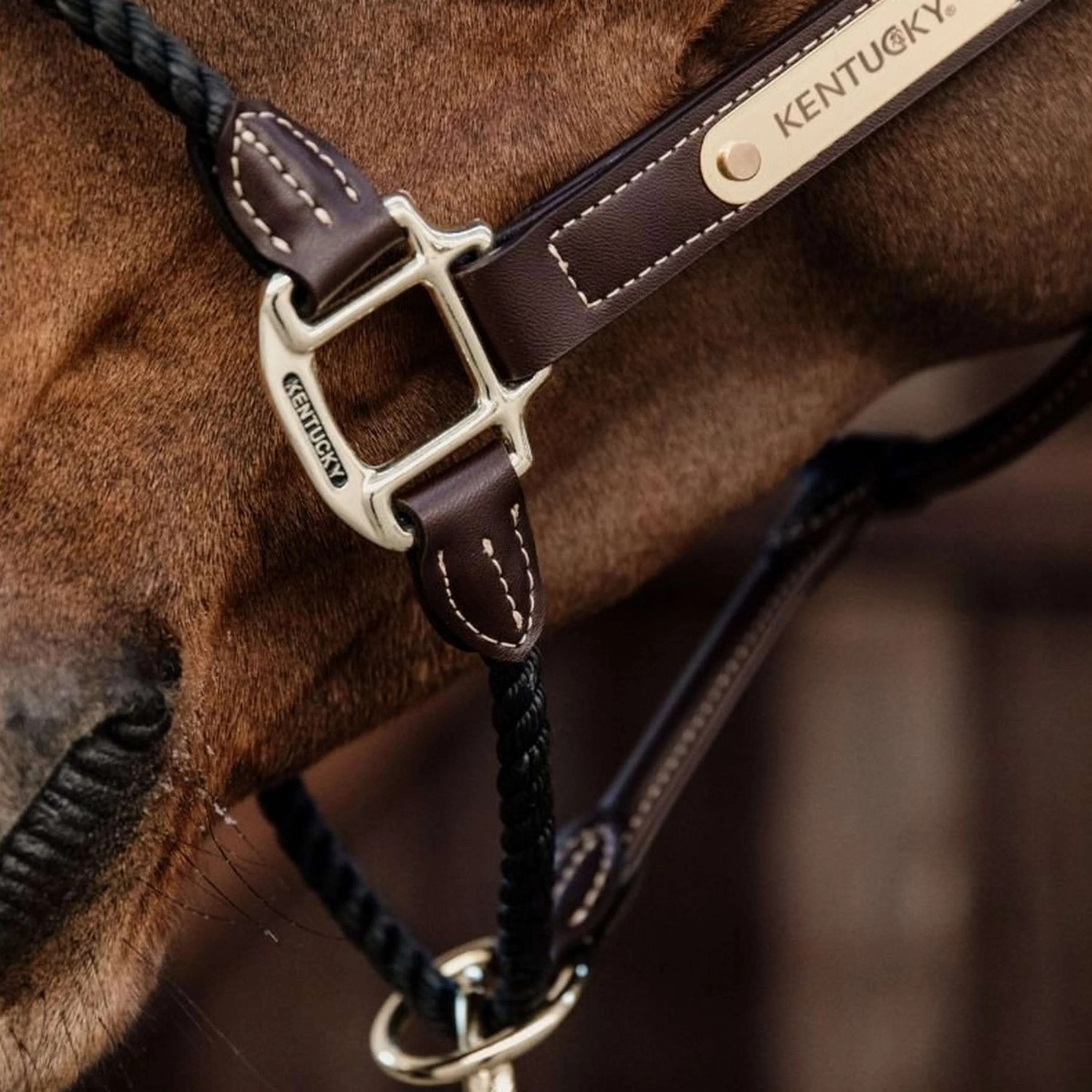 Kentucky Licol en Corde Leather - Image 4