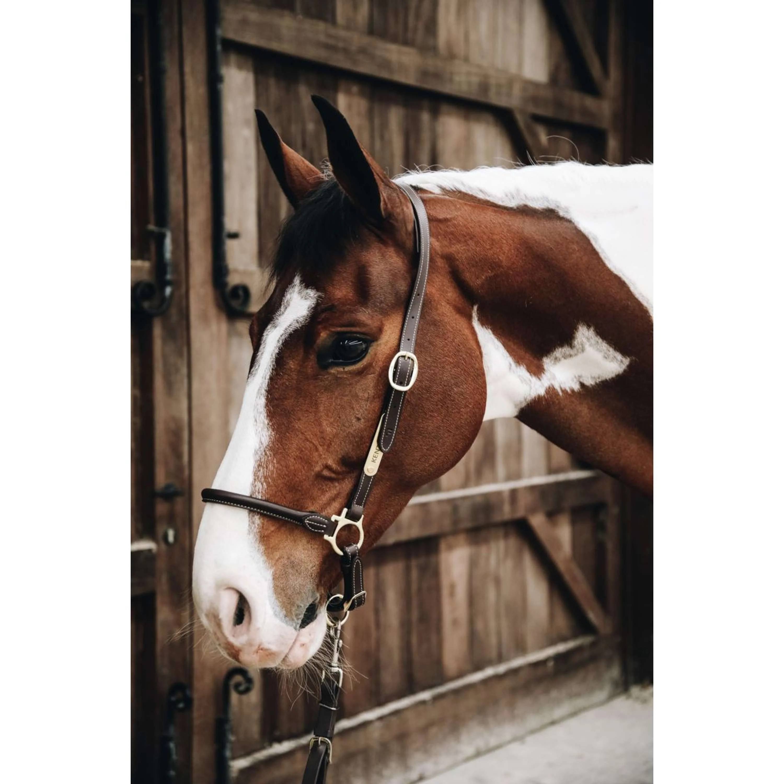 Kentucky Licol Leather Grooming - Image 2