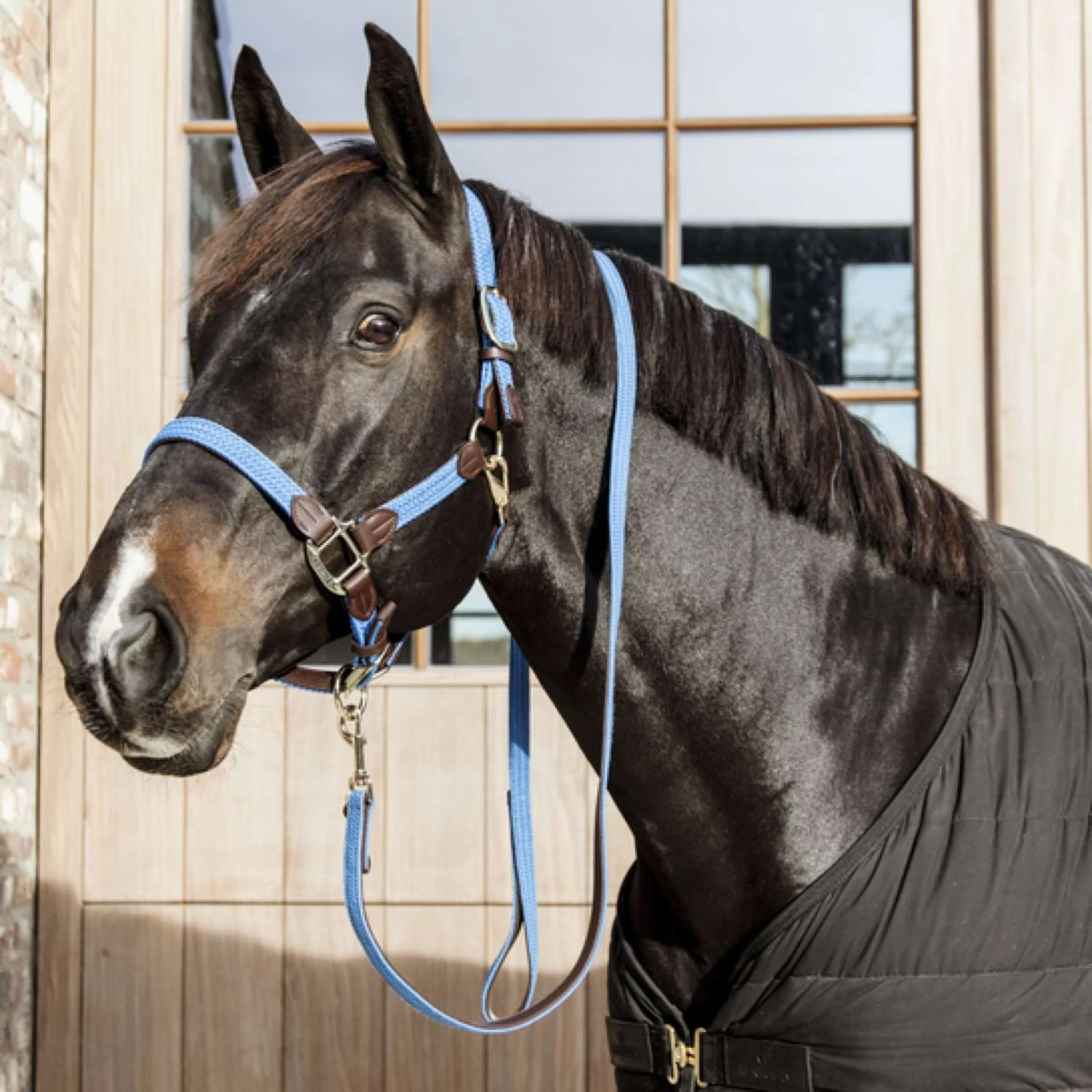 Kentucky Licol Plaited Nylon Bleu clair - Image 3