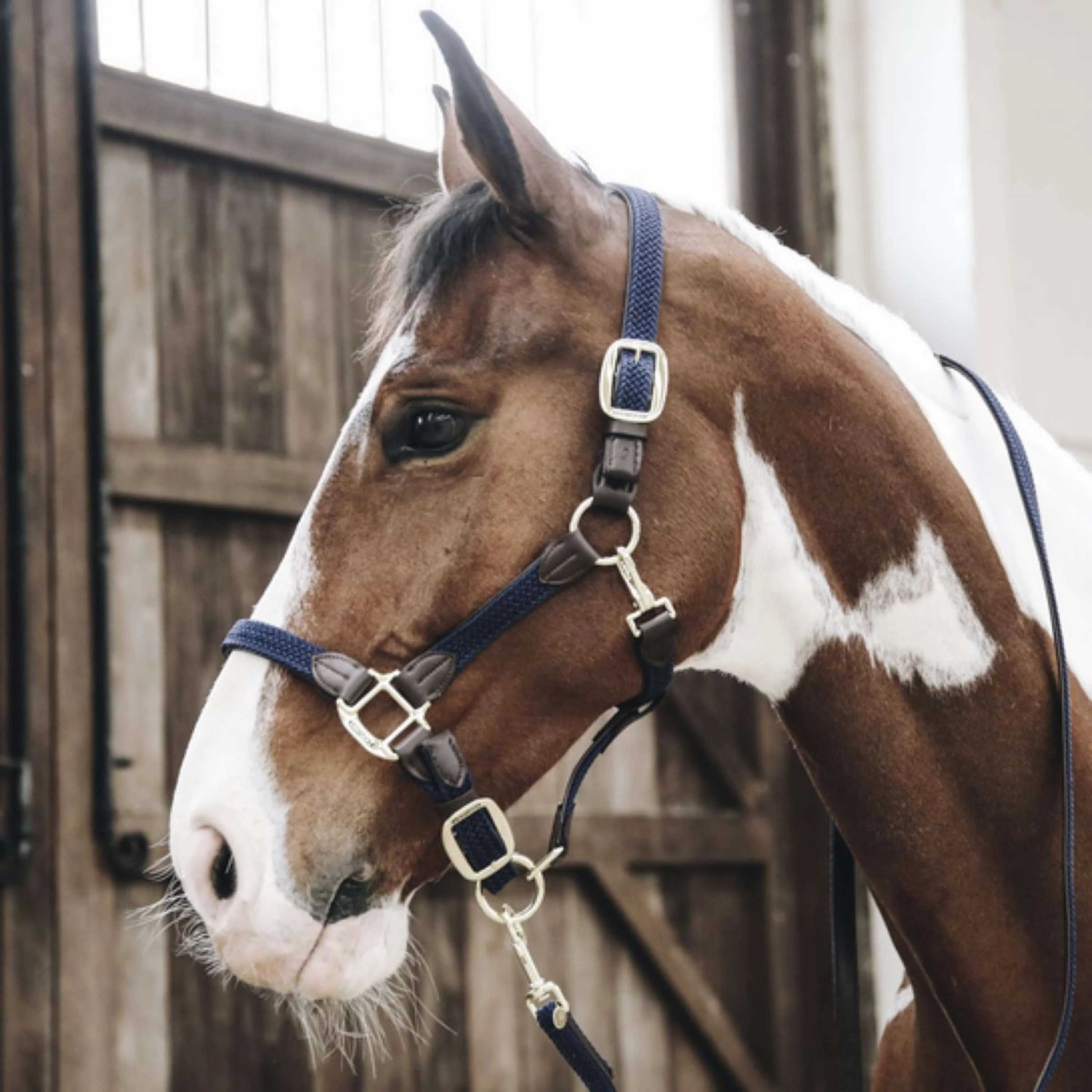 Kentucky Licol Plaited Nylon Marin - Image 2