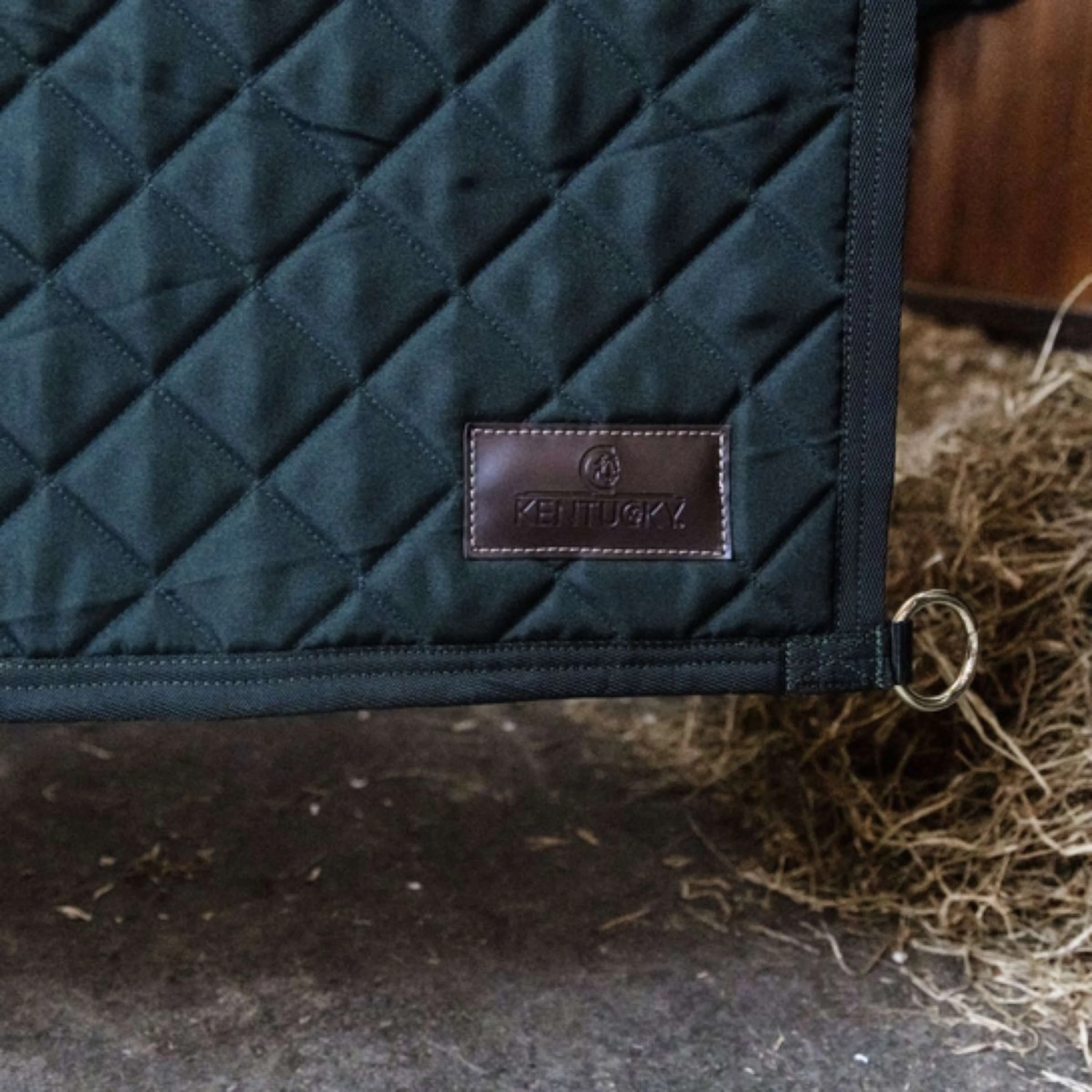 Kentucky Longe d'Attache Vert Foncé - Image 3