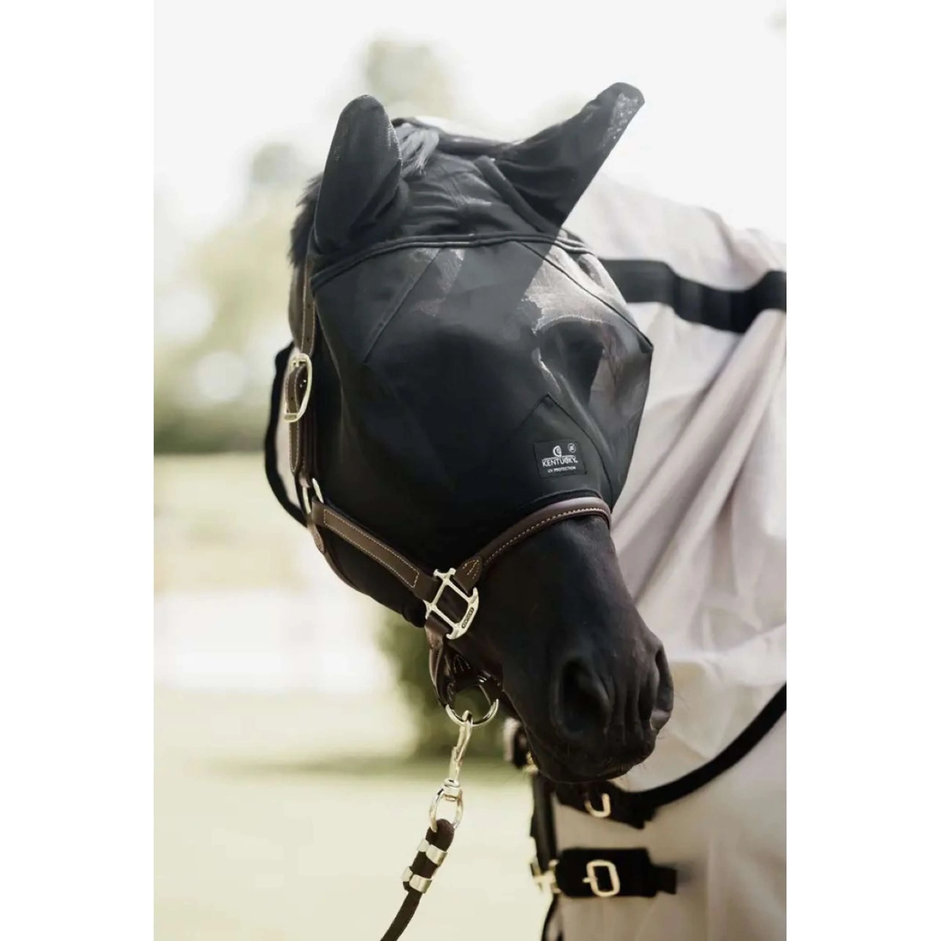 Kentucky Masque Anti-Mouches Classic avec Oreilles Noir - Image 2