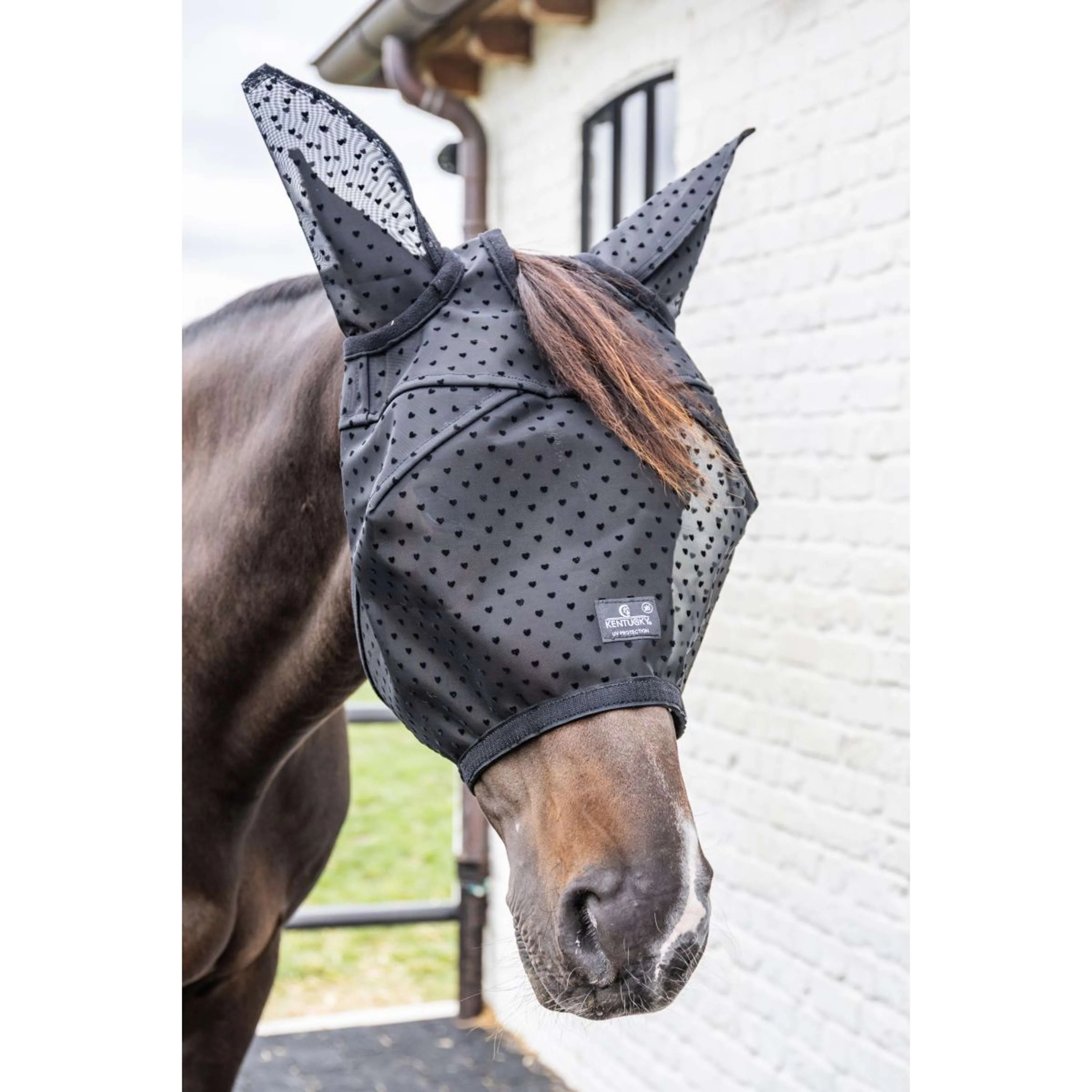 Kentucky Masque Anti-Mouches Heart avec Oreilles et Nez Noir - Image 2