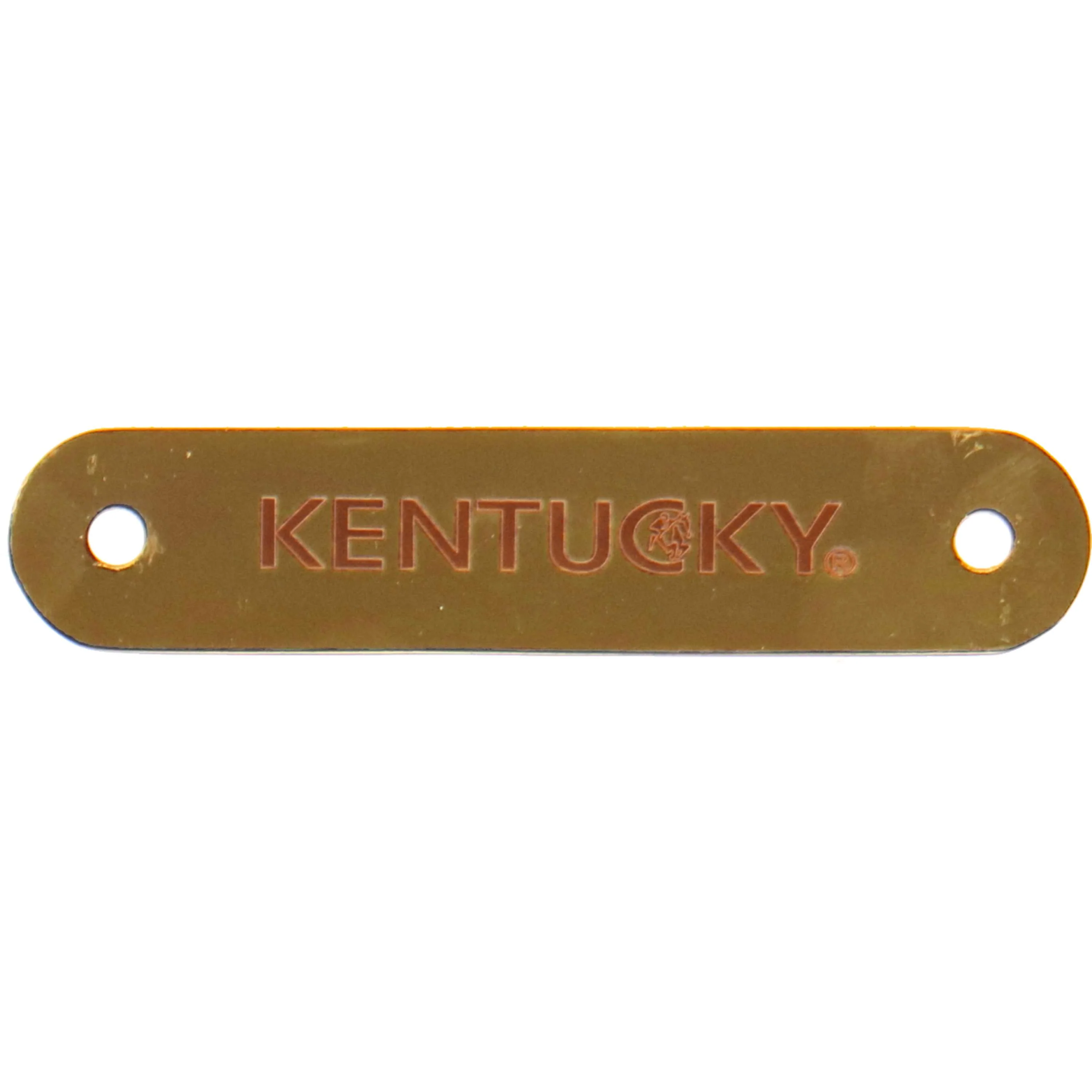 Kentucky Plaque de Nom pour Licol Or - Image 2