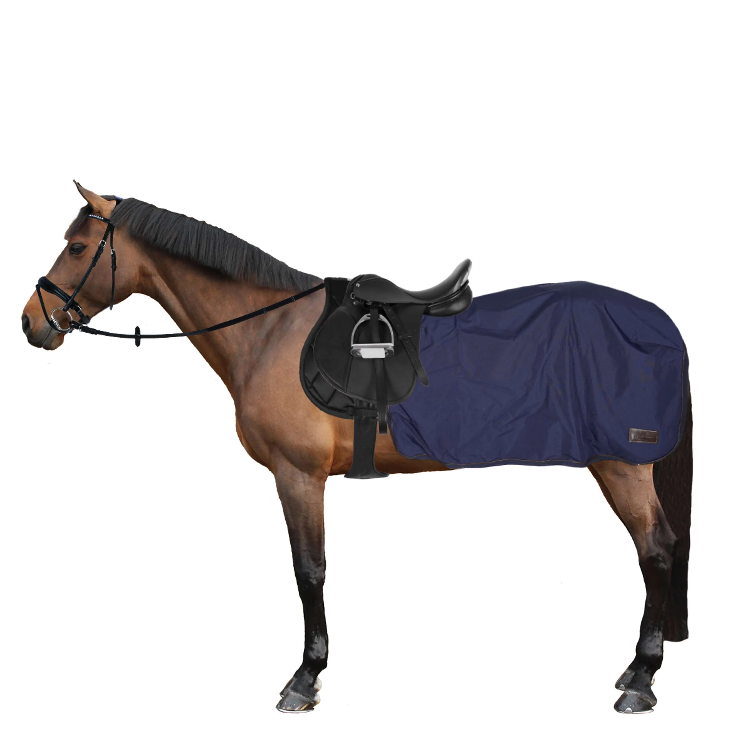 Kentucky Quarter Rug All Weather 160g Marin - Image 5
