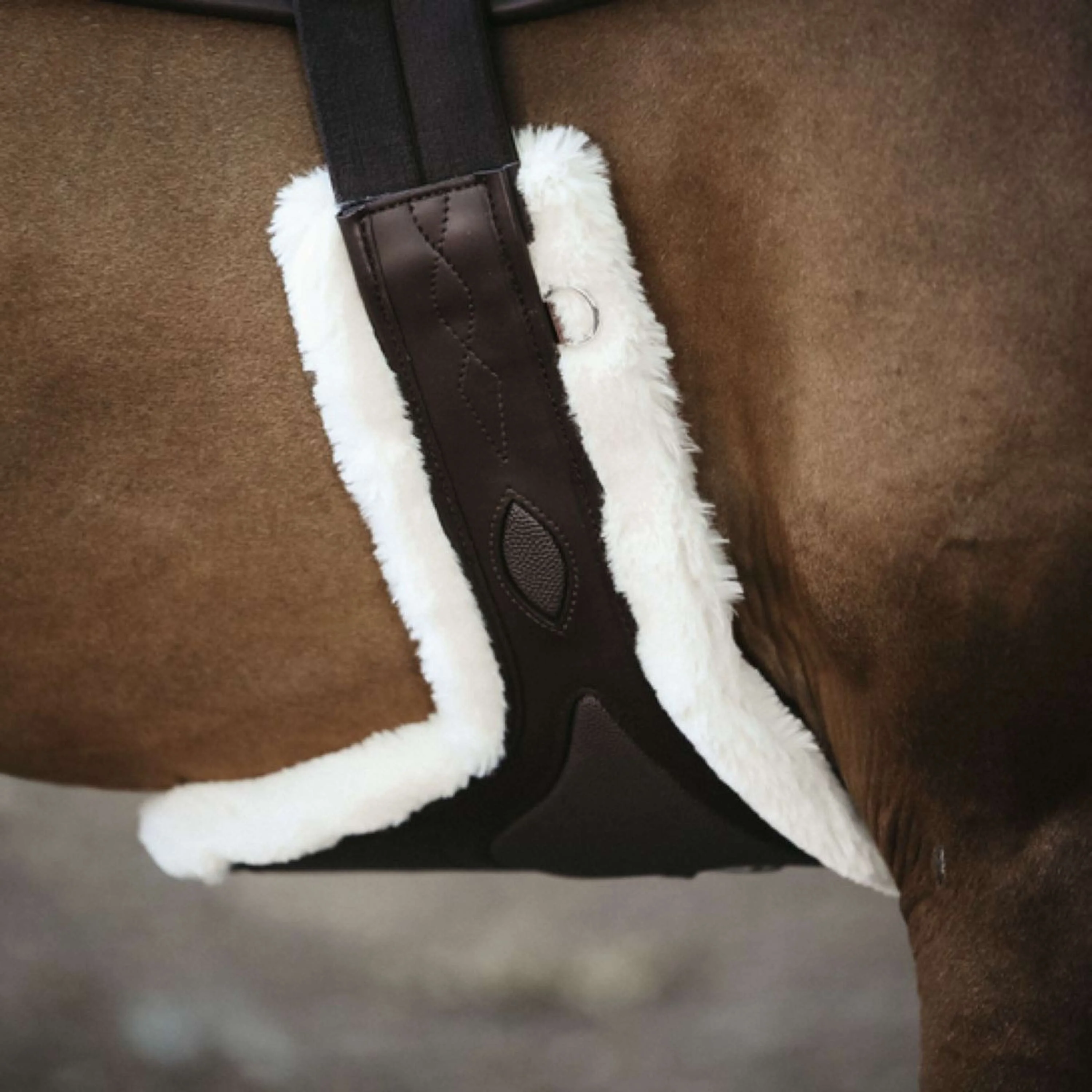 Kentucky Sangle Bavette Sheepskin Special pour le Saut Marron - Image 2