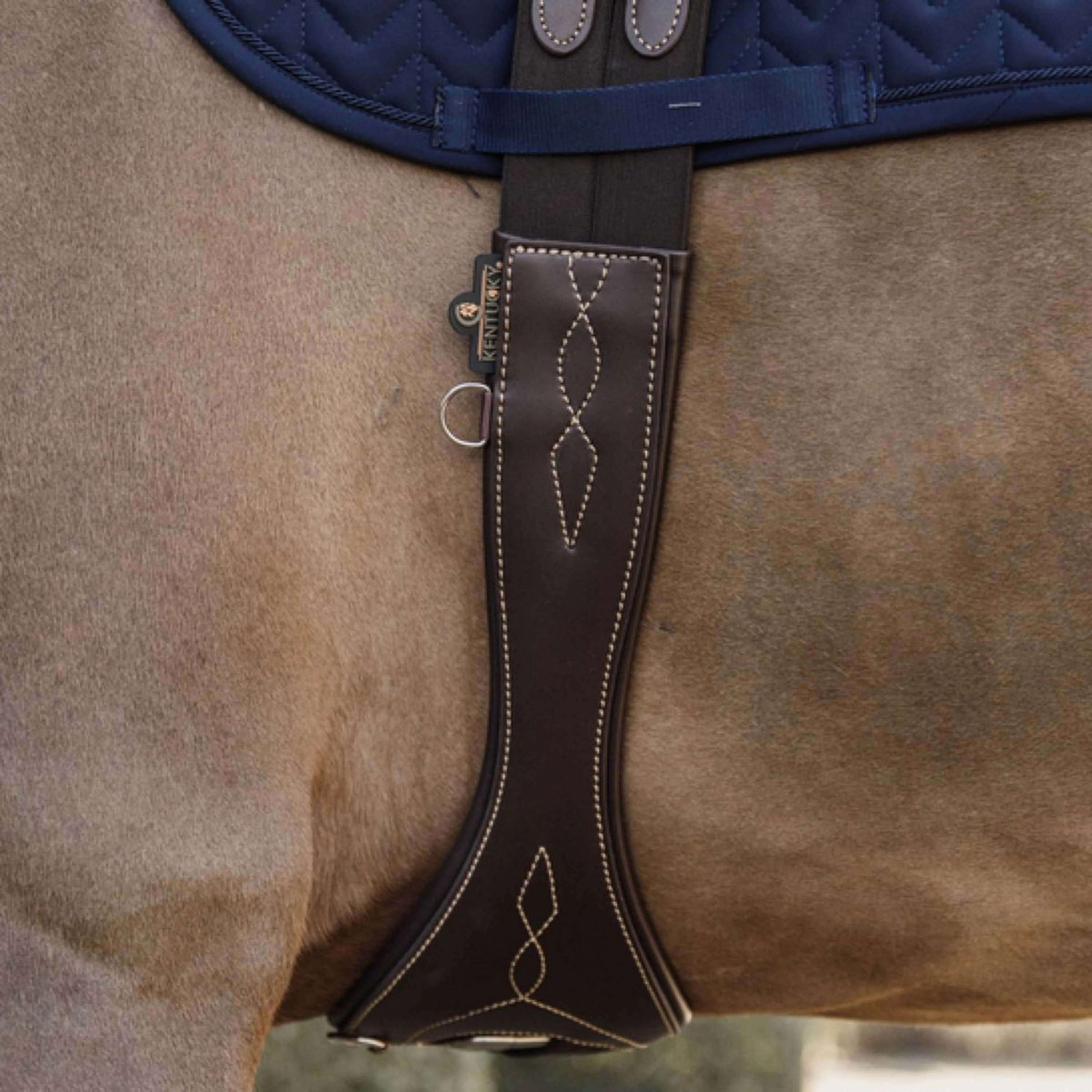 Kentucky Sangle d'Obstacle Anatomique Marron - Image 2