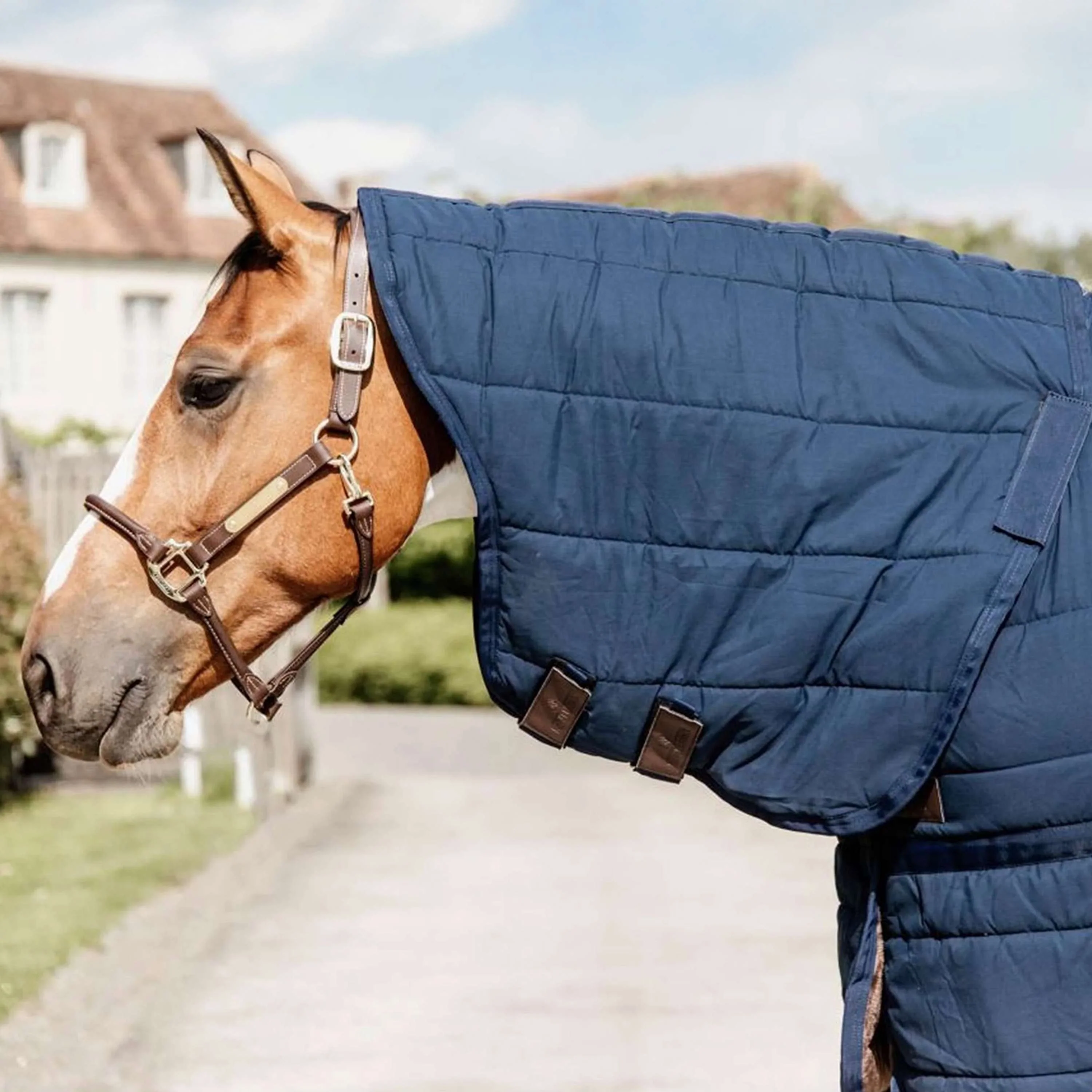 Kentucky Sous-Couverture Skin Friendly Neck 150g Marin - Image 2