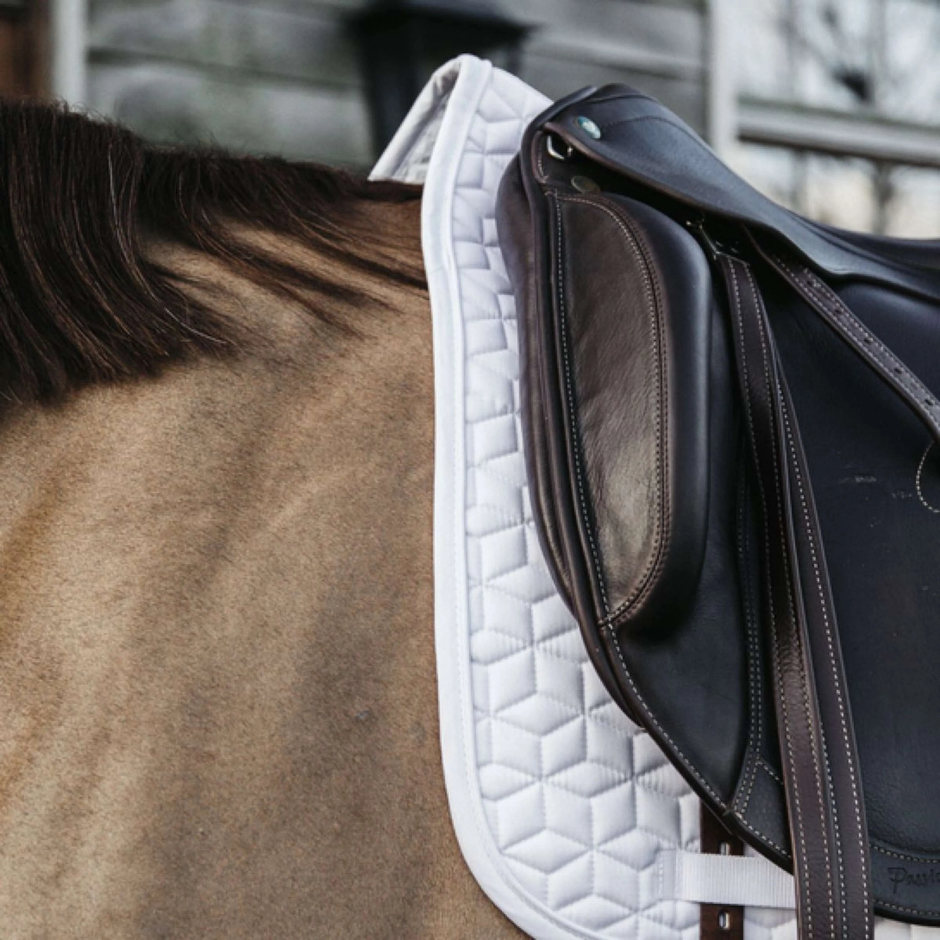 Kentucky Tapis de Selle Classic Dressage Blanc - Image 3