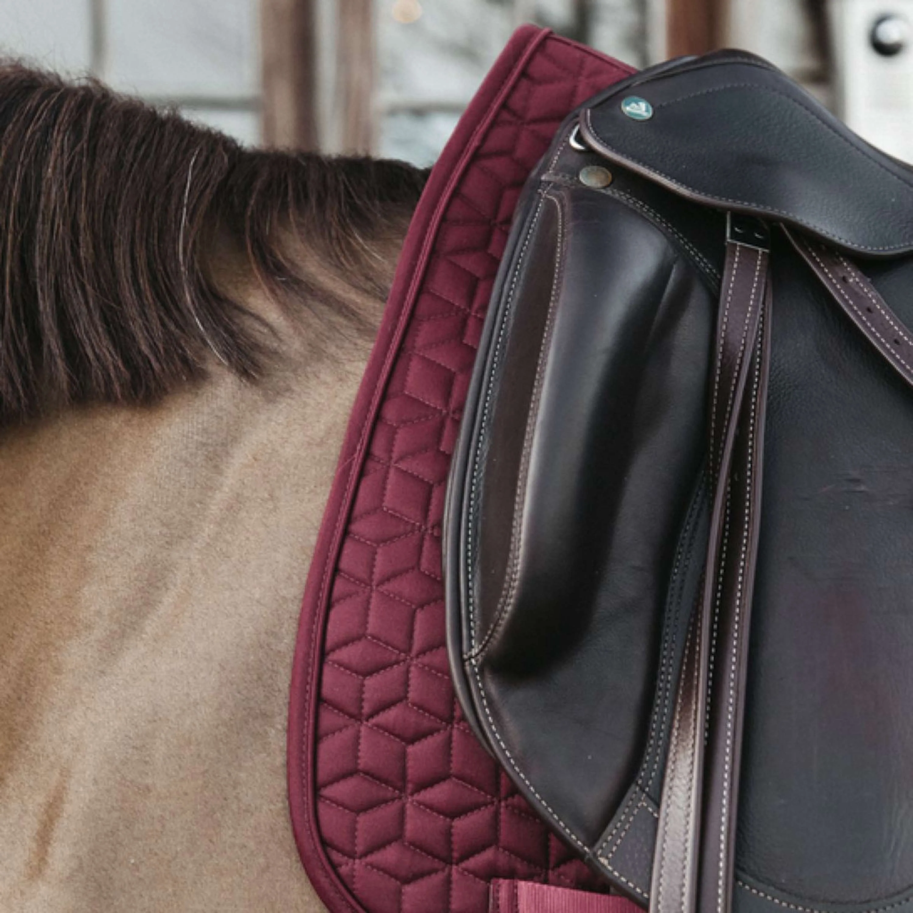 Kentucky Tapis de Selle Classic Dressage Bordeaux - Image 3