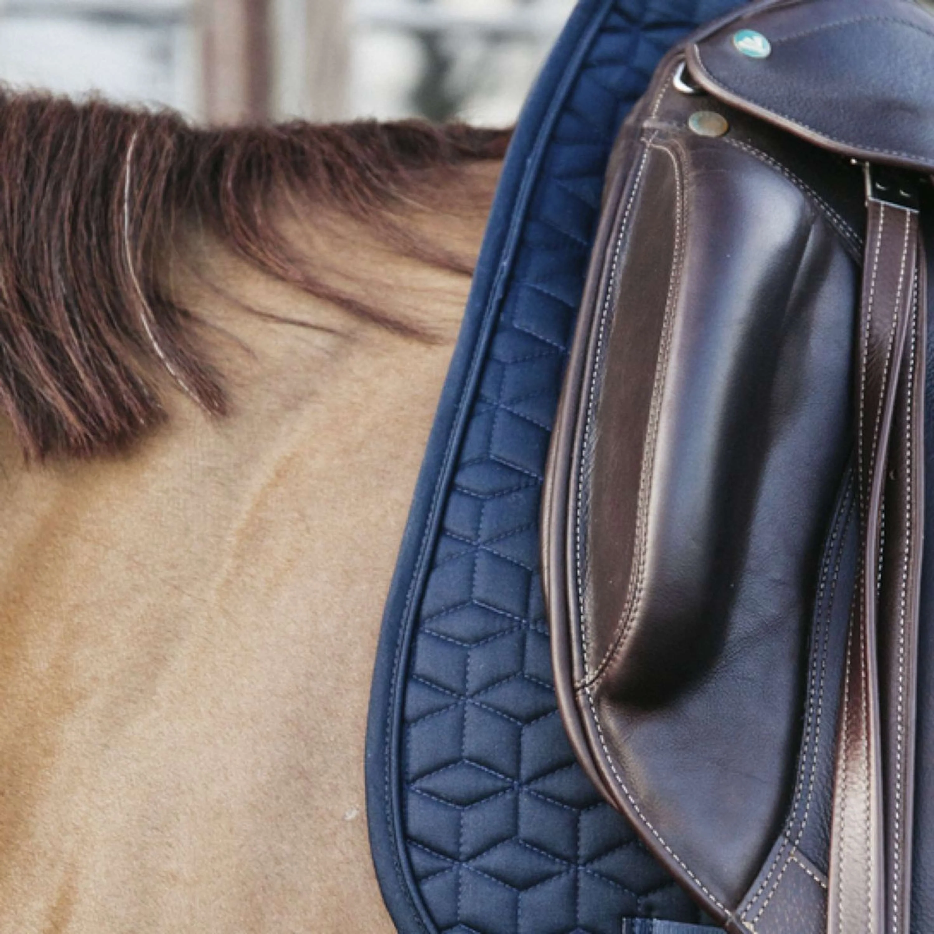 Kentucky Tapis de Selle Classic Dressage Marin - Image 3