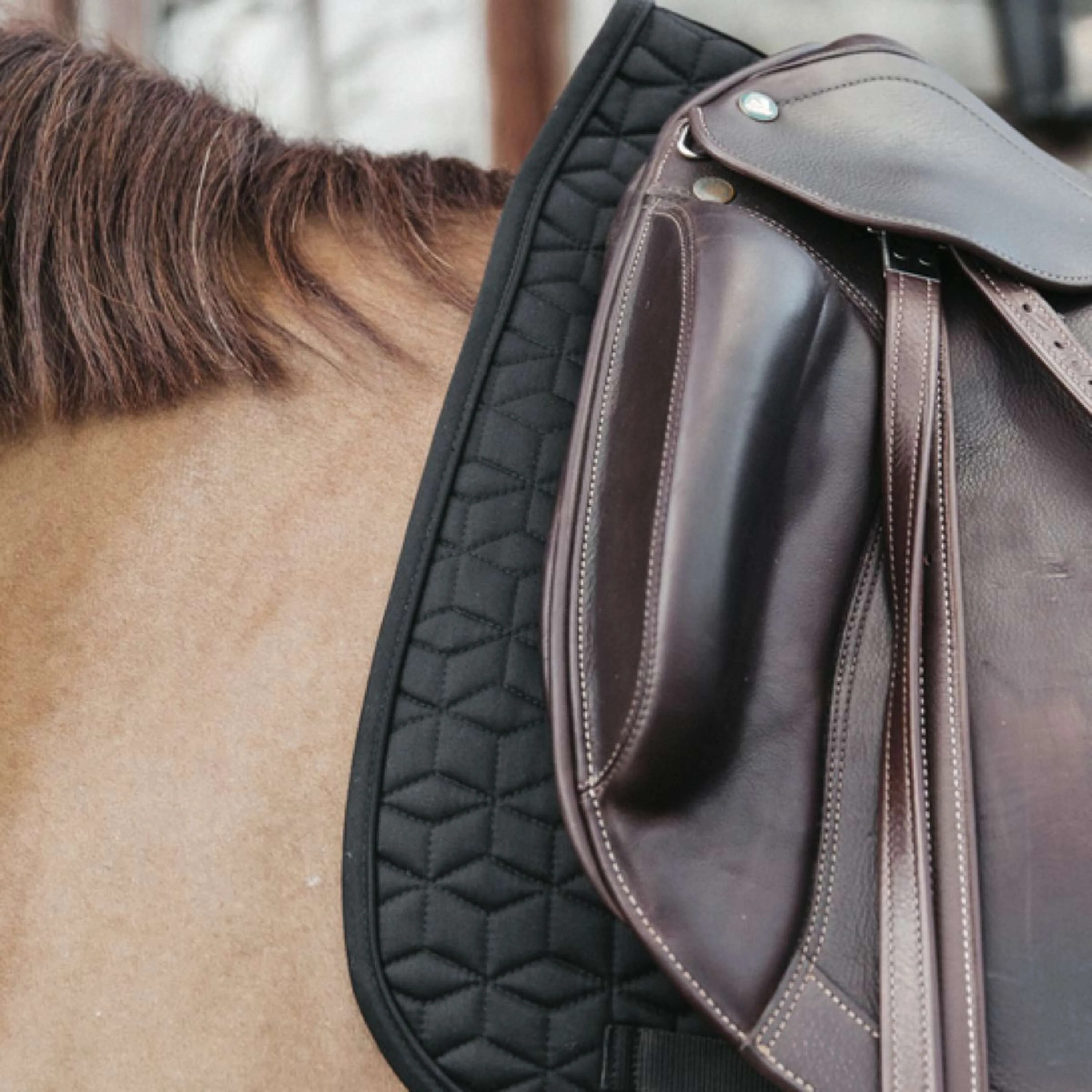 Kentucky Tapis de Selle Classic Dressage Noir - Image 3