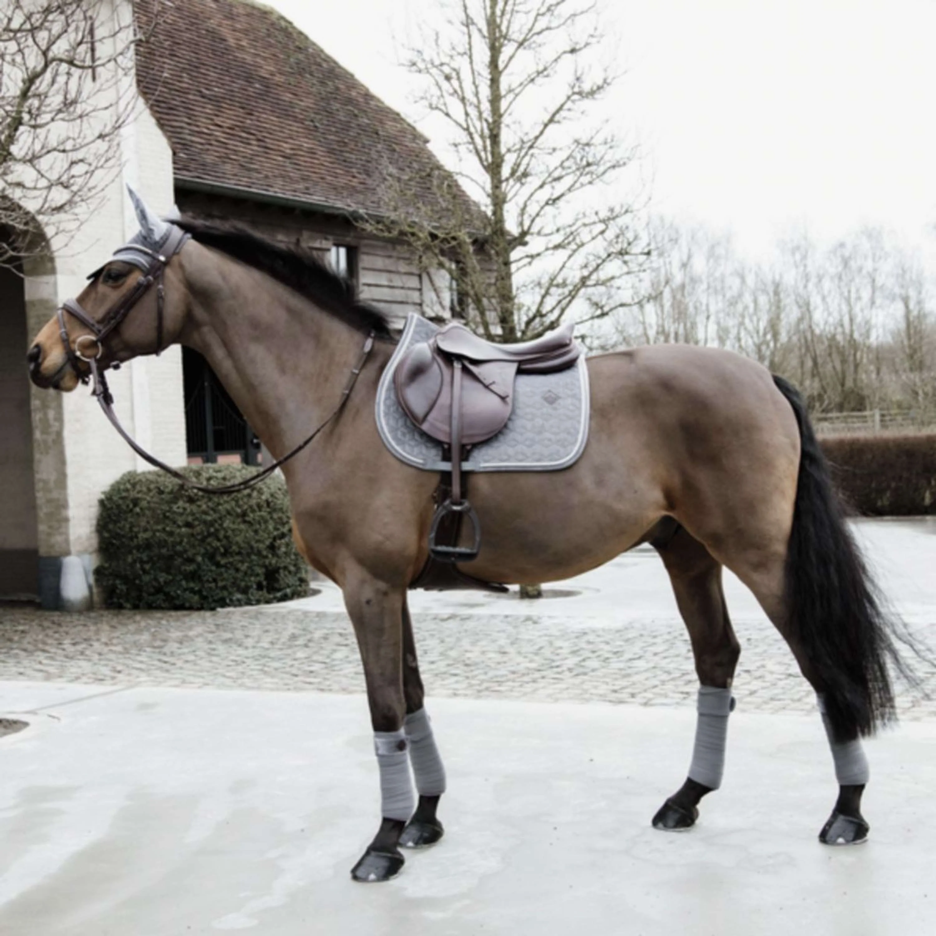 Kentucky Tapis de Selle Basic Velvet de Saut Gris - Image 5