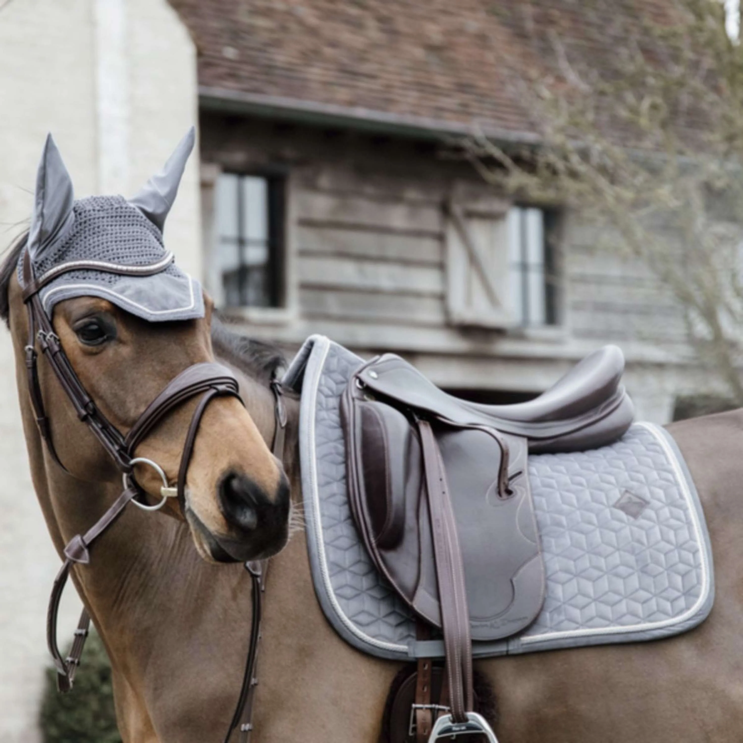 Kentucky Tapis de Selle Basic Velvet Dressage Gris - Image 3