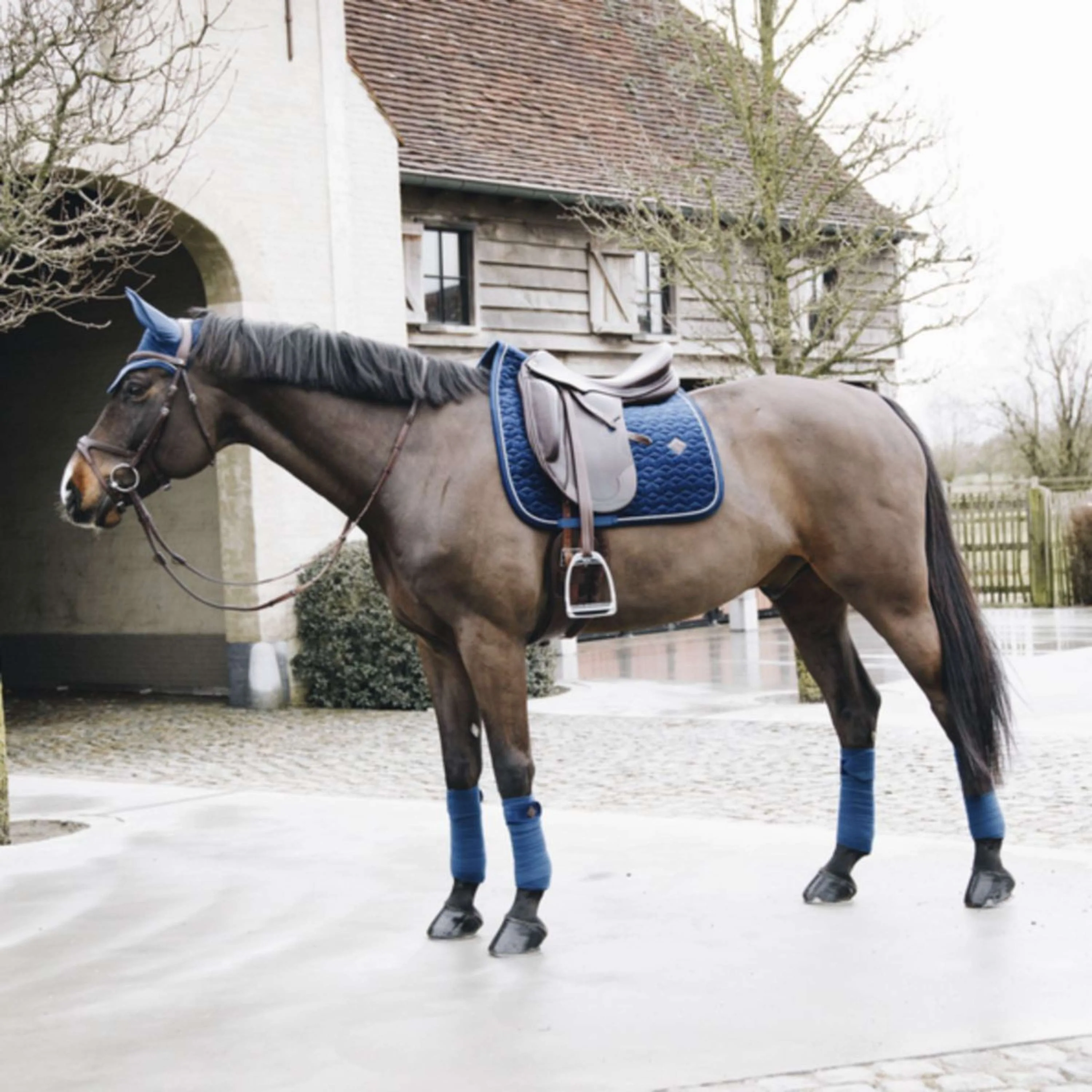 Kentucky Tapis de Selle Basic Velvet Dressage Marin - Image 5