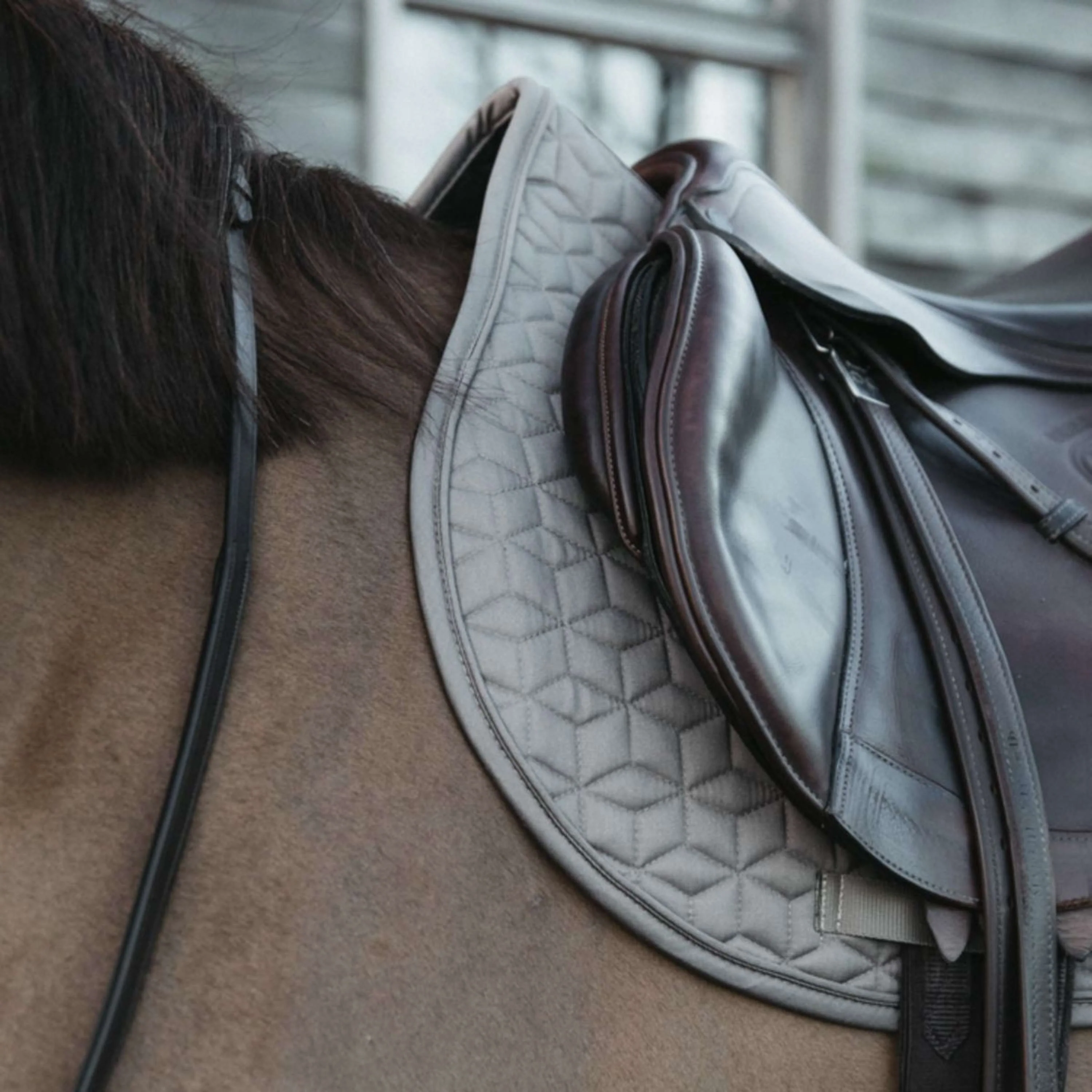 Kentucky Tapis de Selle Classic de Saut Beige - Image 3