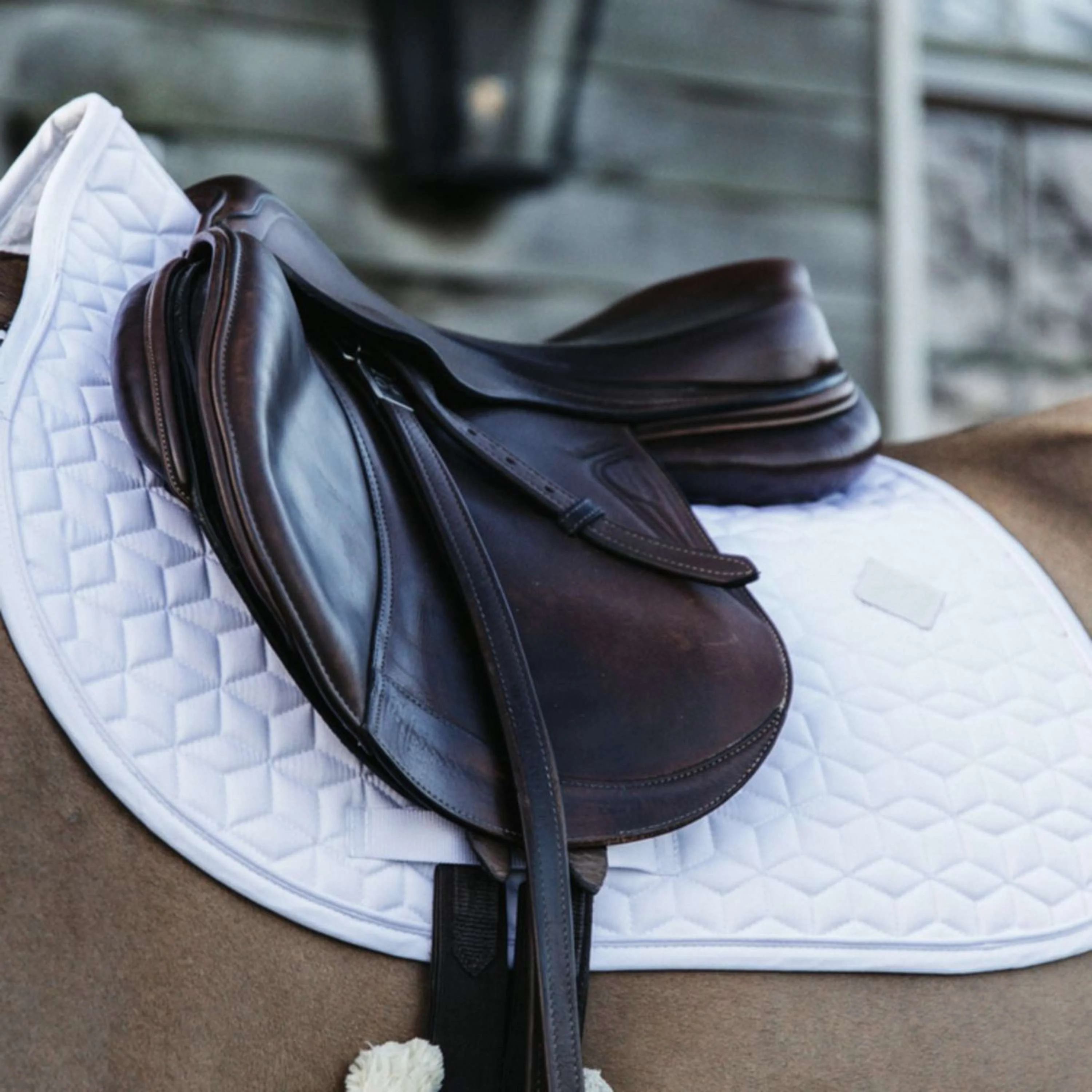 Kentucky Tapis de Selle Classic de Saut Blanc - Image 2