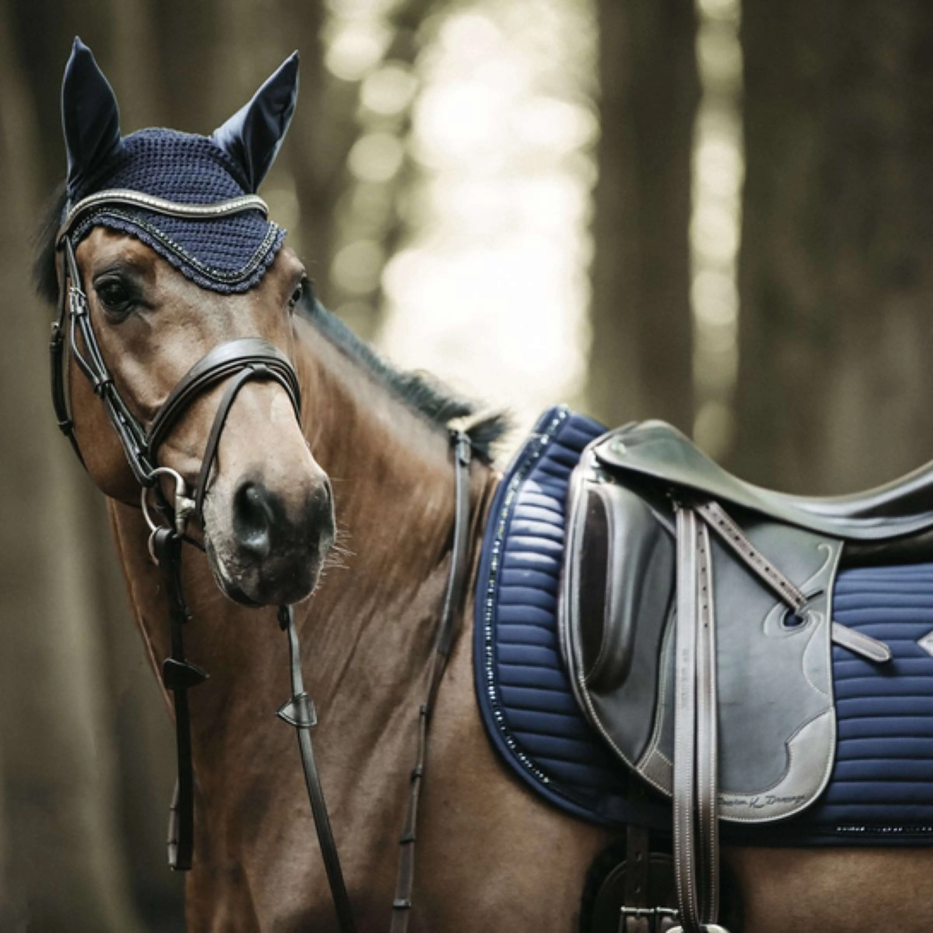 Kentucky Tapis de Selle de Dressage Pearls Marin - Image 3