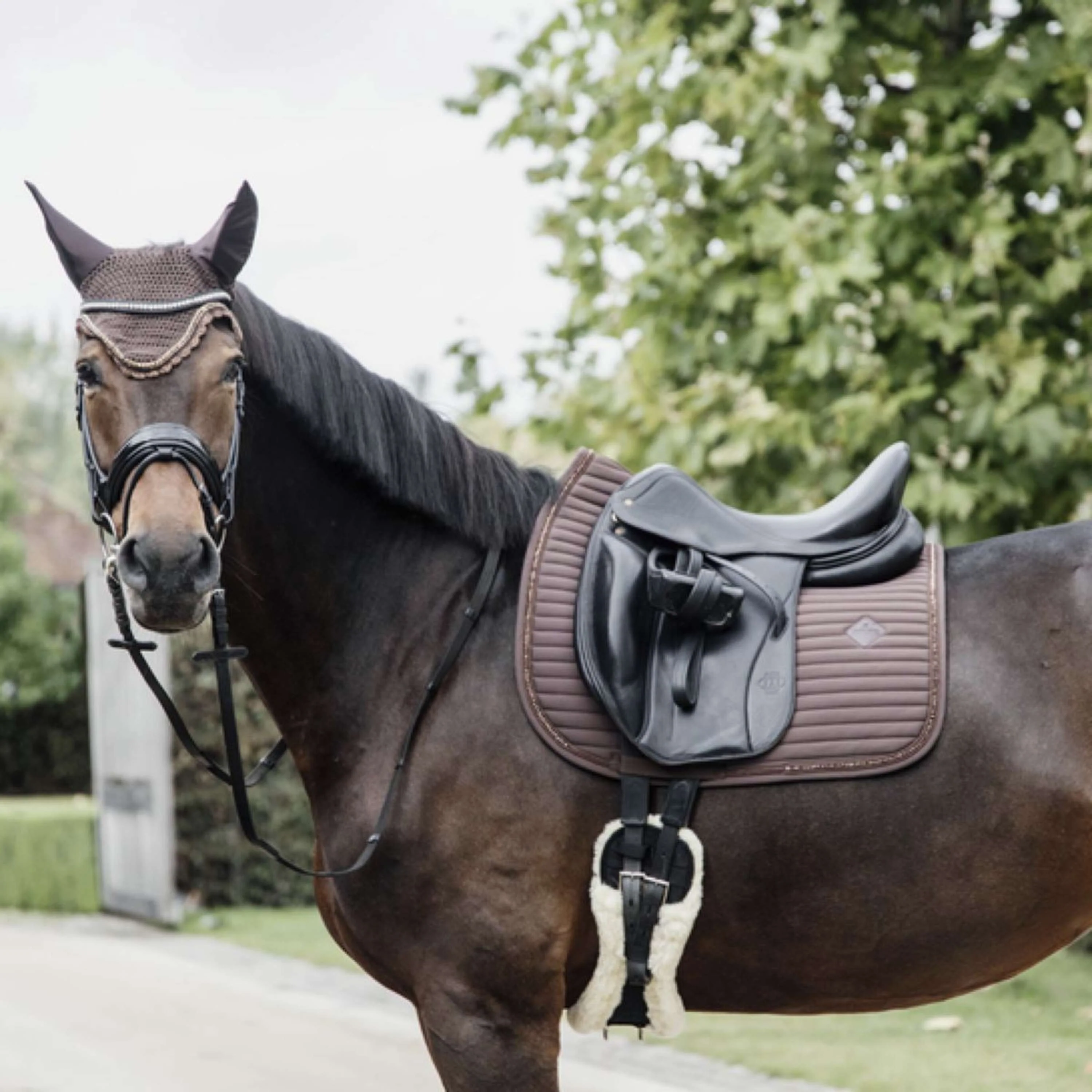 Kentucky Tapis de Selle de Dressage Pearls Marron - Image 3