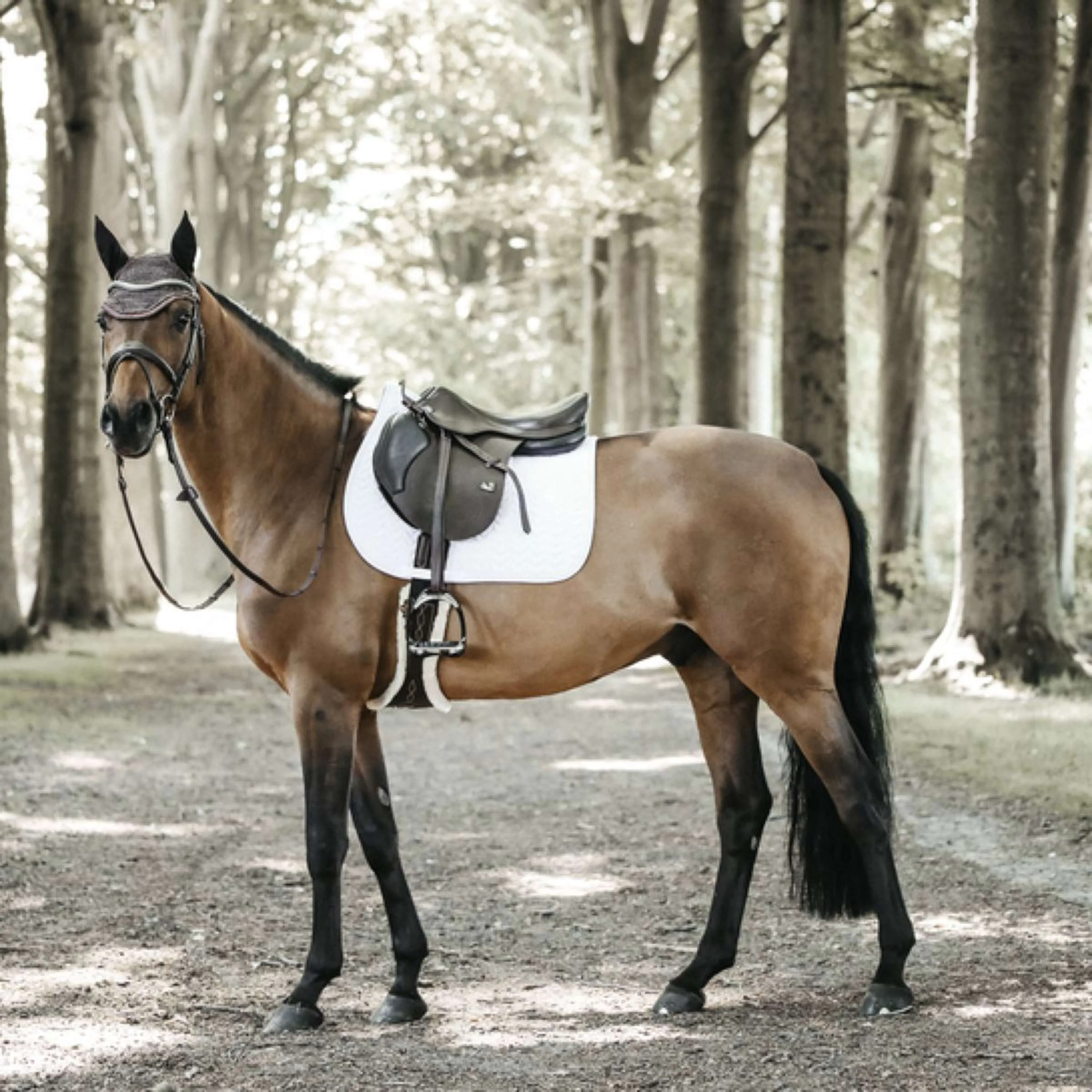 Kentucky Tapis de Selle De Saut Fishbone Blanc - Image 4