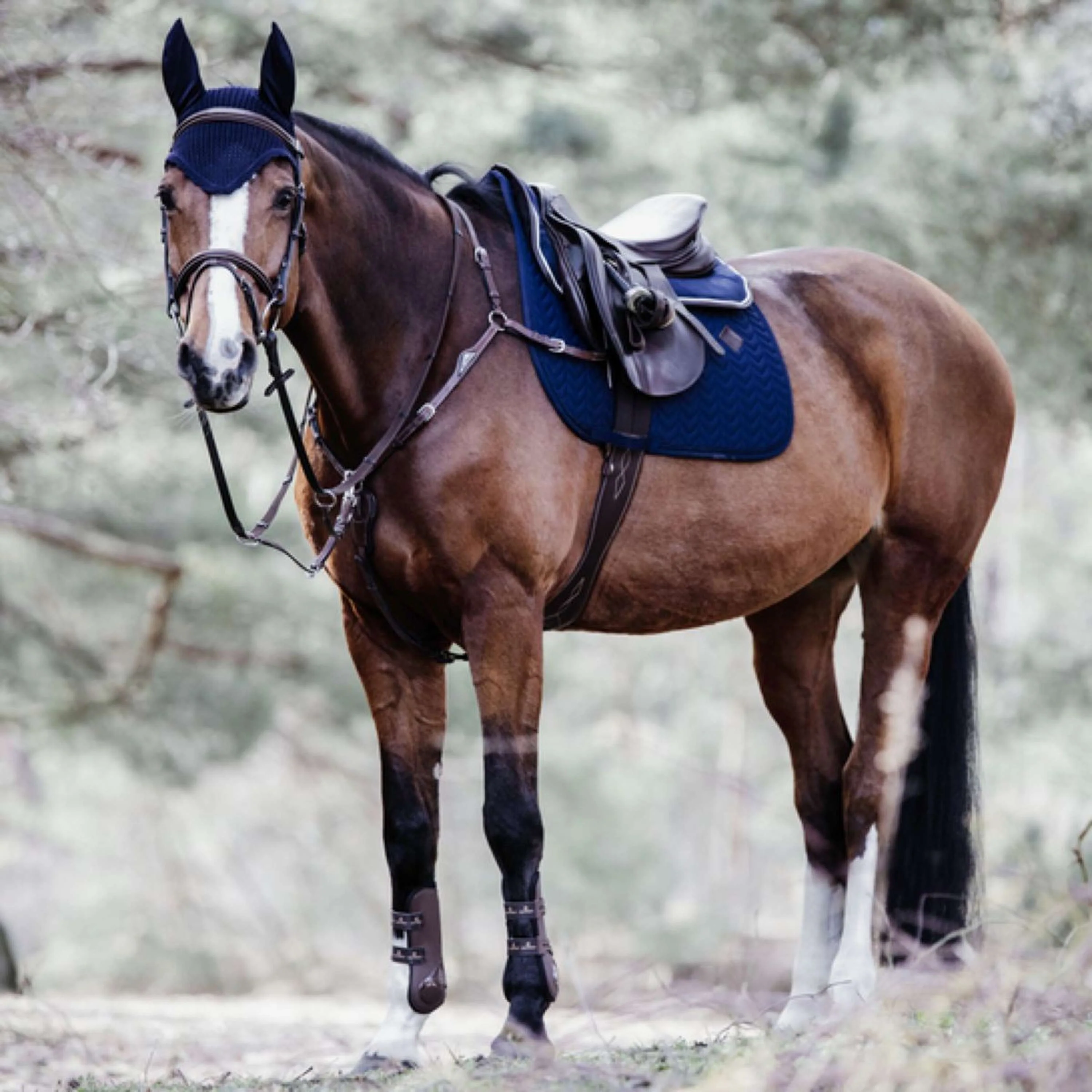 Kentucky Tapis de Selle De Saut Fishbone Marin - Image 4