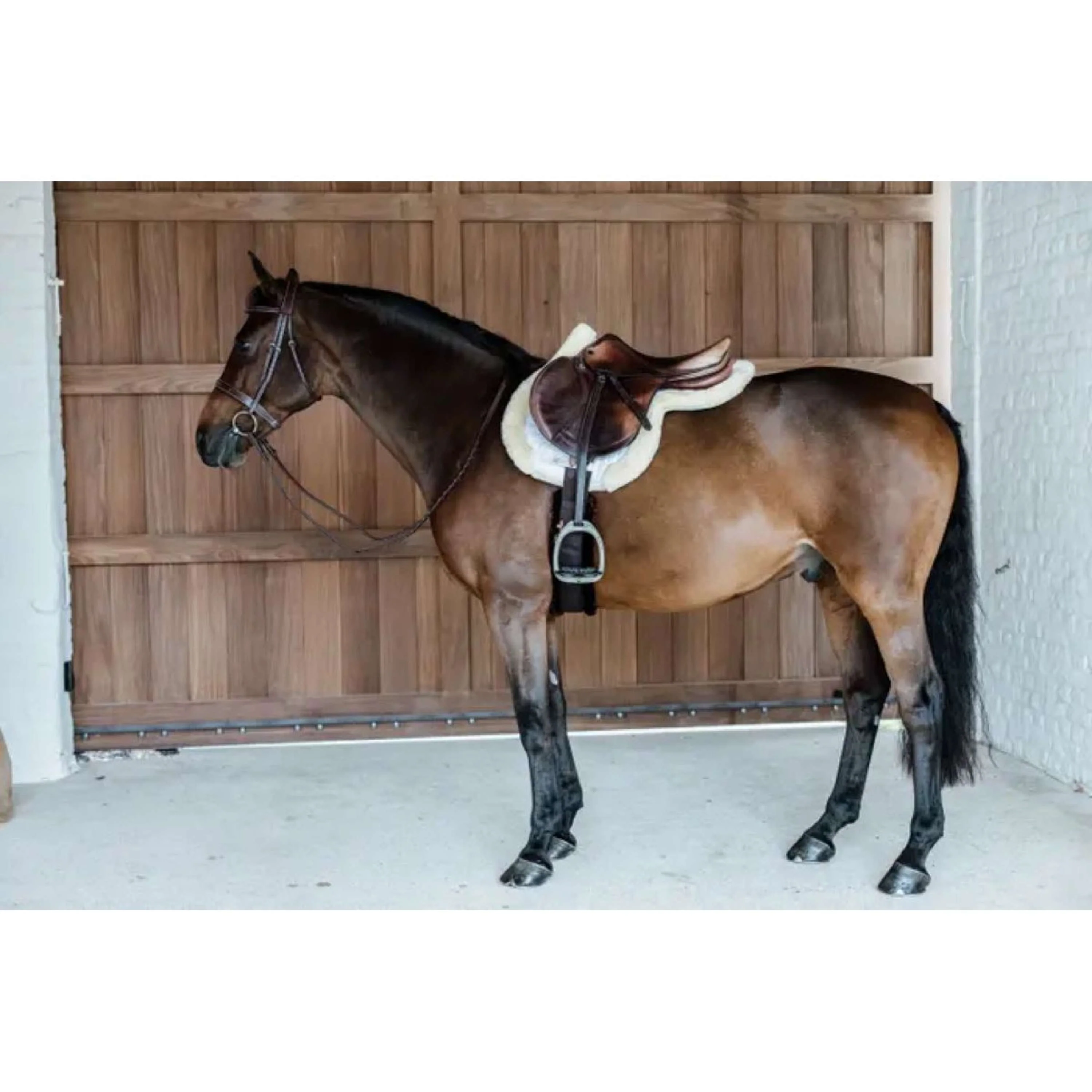 Kentucky Tapis de Selle de Saut Hunter Laine Nature - Image 5