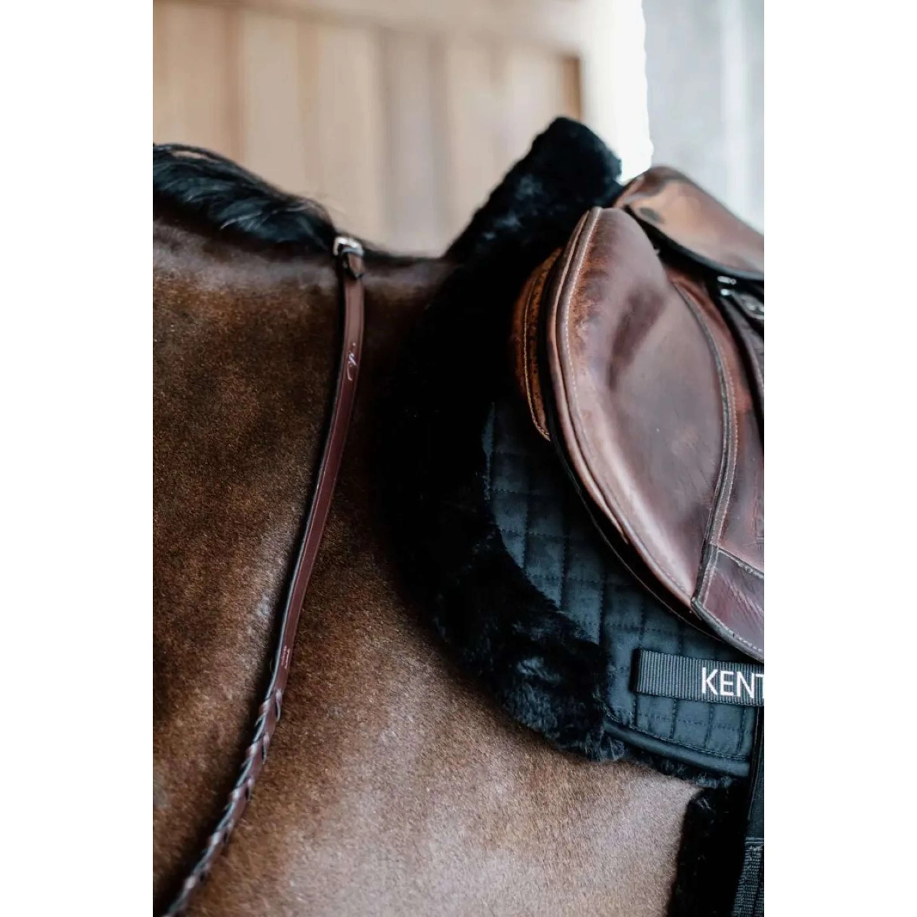 Kentucky Tapis de Selle de Saut Hunter Laine Noir - Image 3