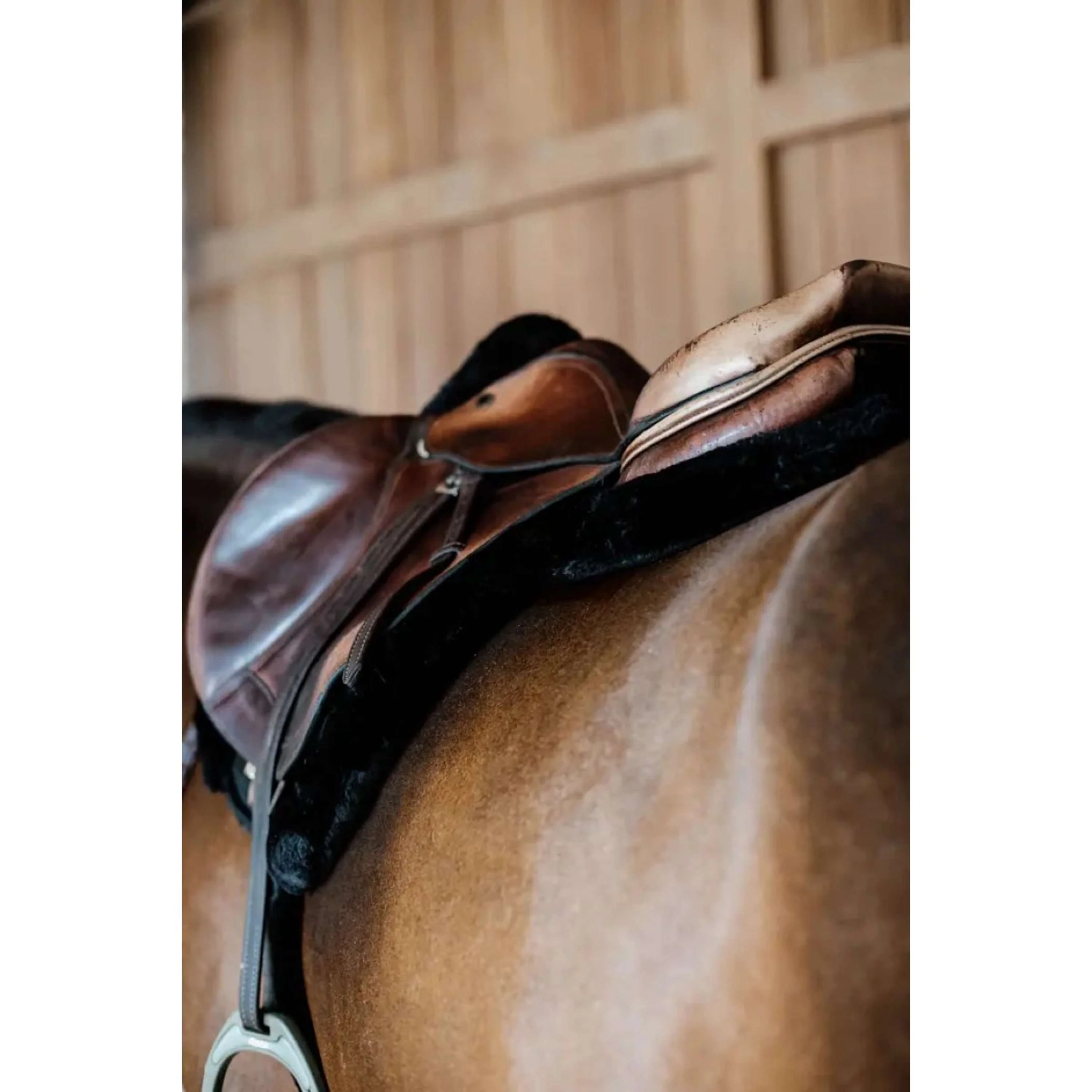 Kentucky Tapis de Selle de Saut Hunter Laine Noir - Image 4