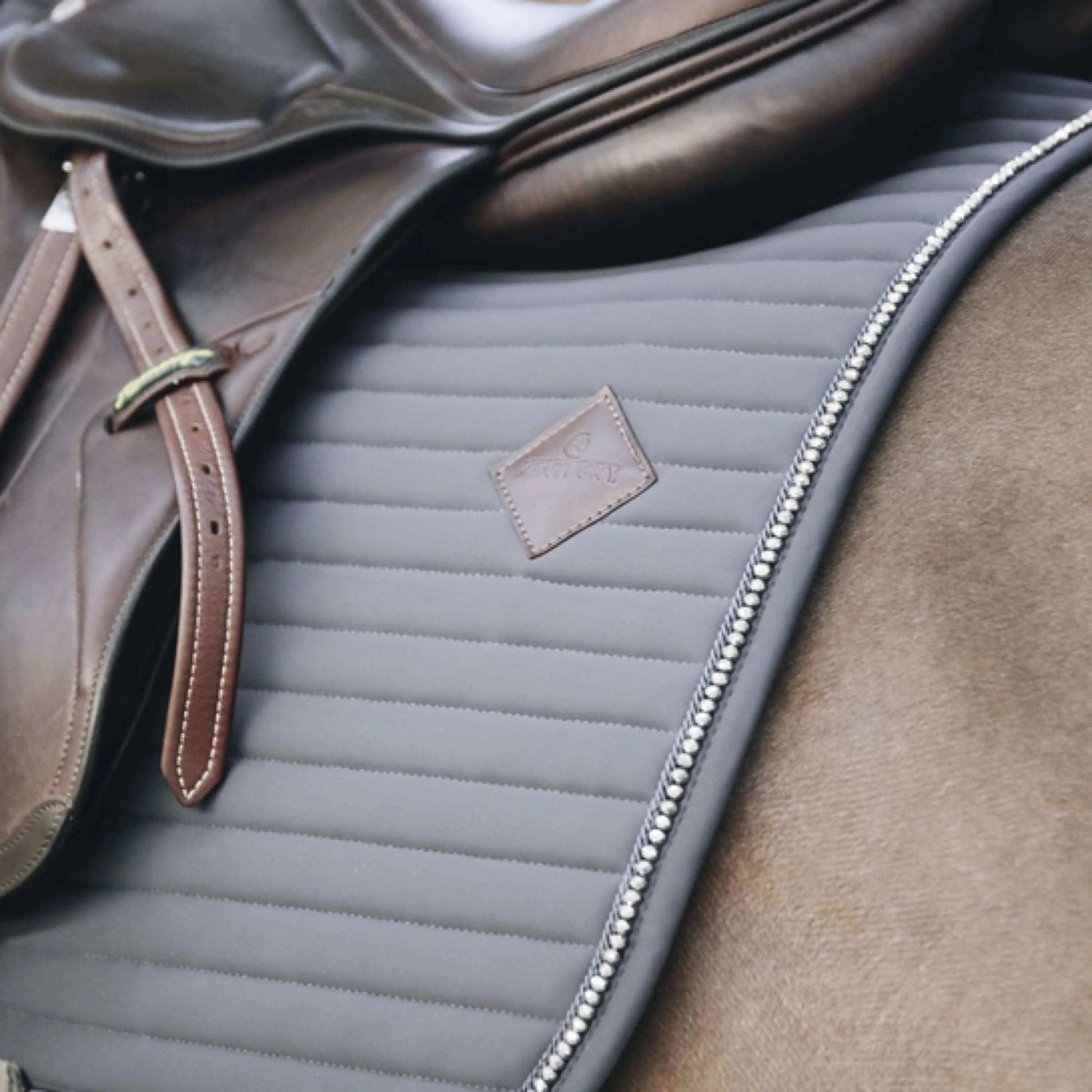 Kentucky Tapis de Selle De Saut Pearls Gris - Image 3