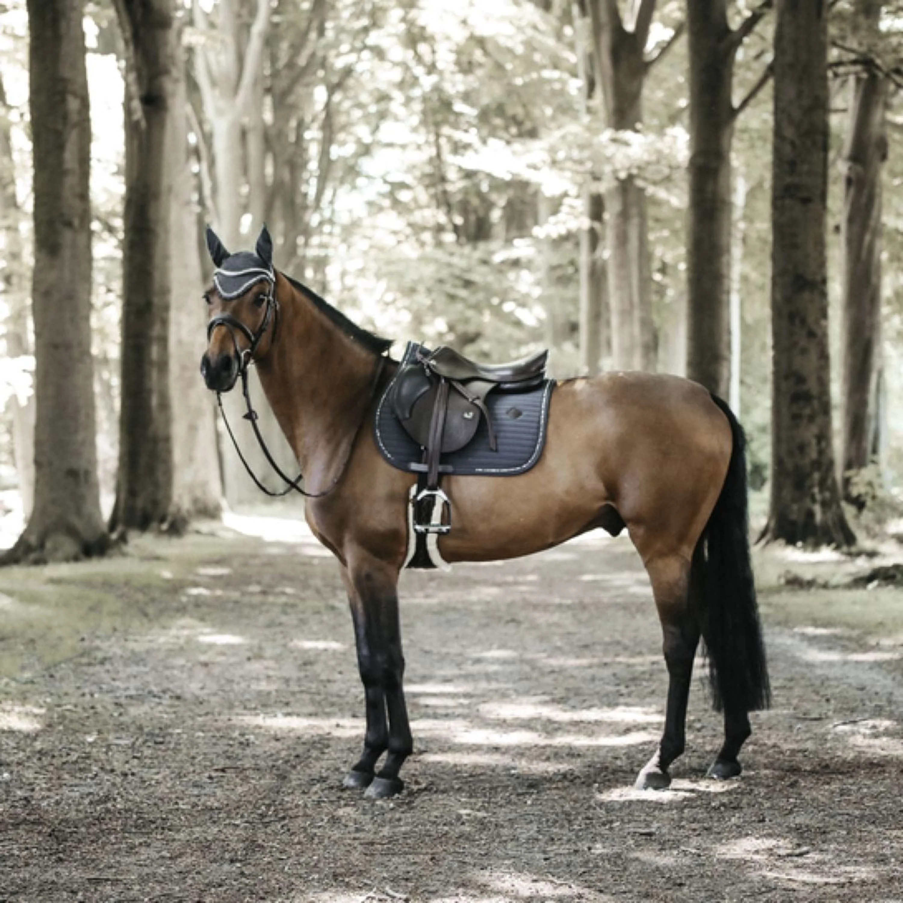 Kentucky Tapis de Selle De Saut Pearls Gris - Image 4