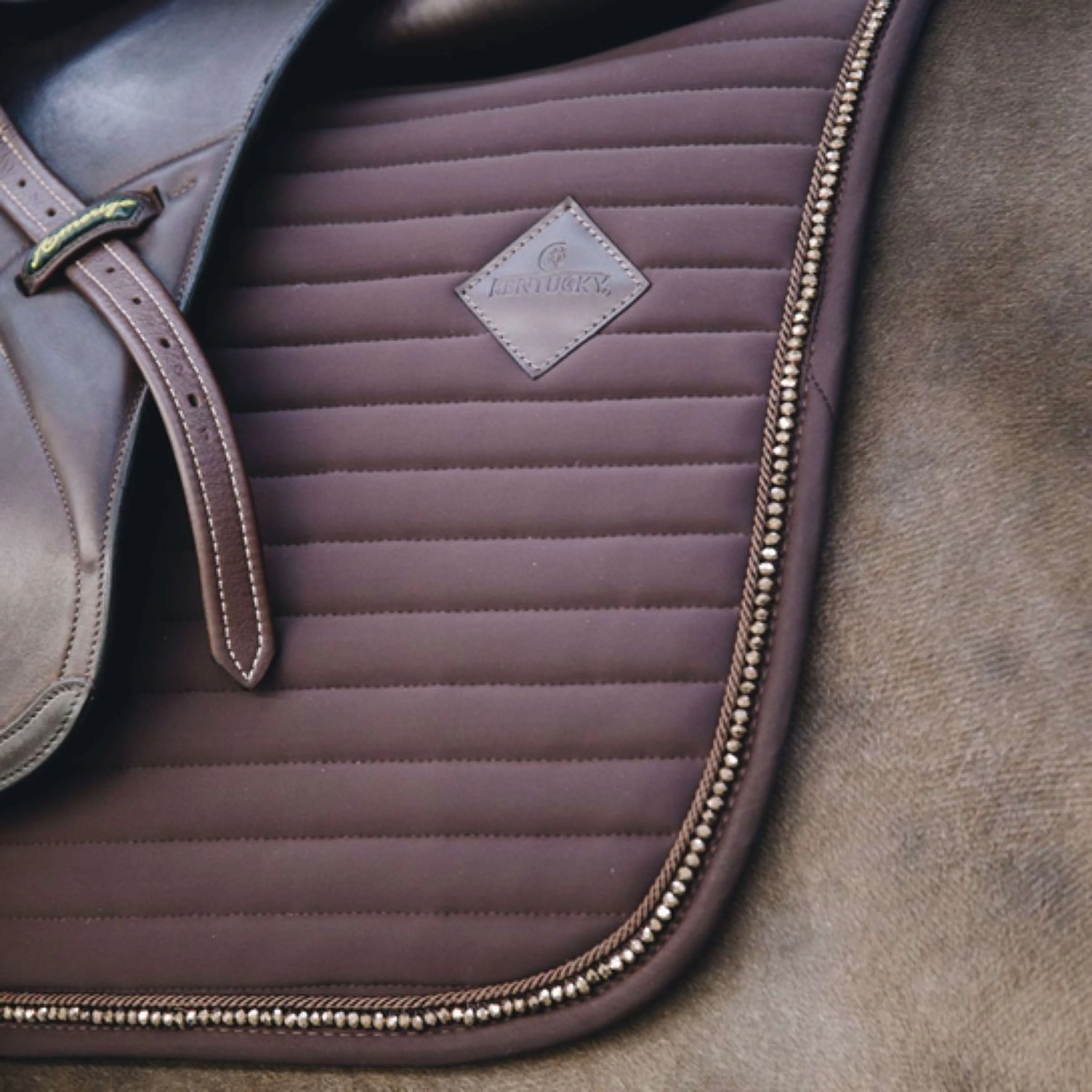 Kentucky Tapis de Selle De Saut Pearls Marron - Image 3