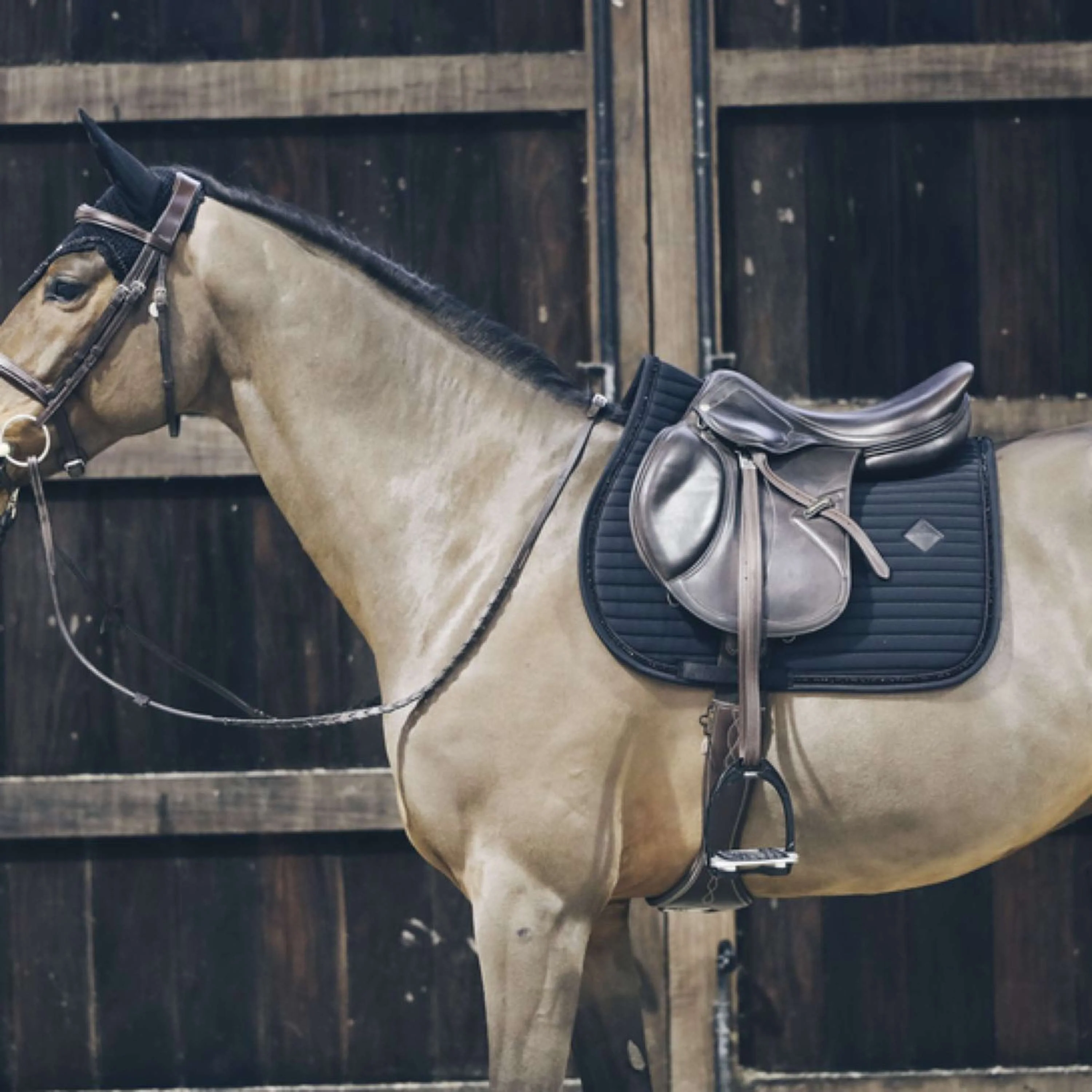 Kentucky Tapis de Selle De Saut Pearls Noir - Image 3