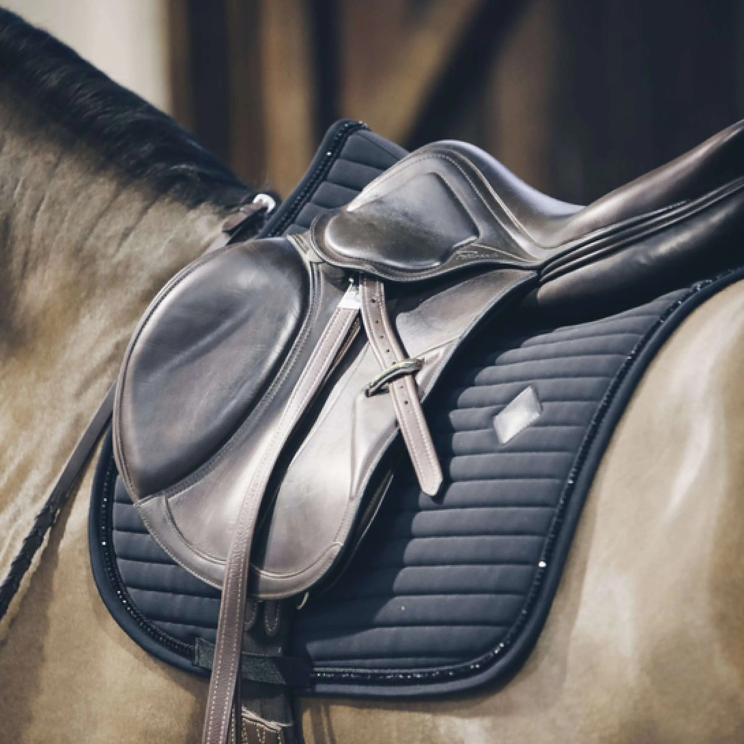 Kentucky Tapis de Selle De Saut Pearls Noir - Image 4