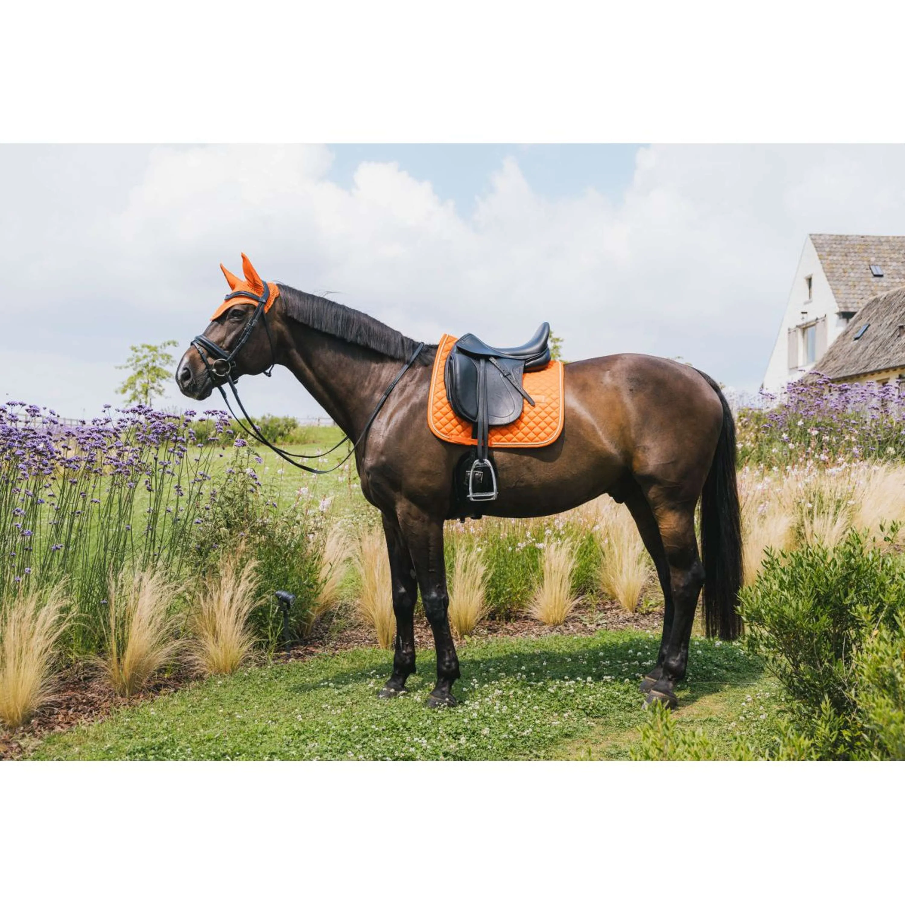 Kentucky Tapis de Selle Diamond Rope Dressage Orange - Image 2