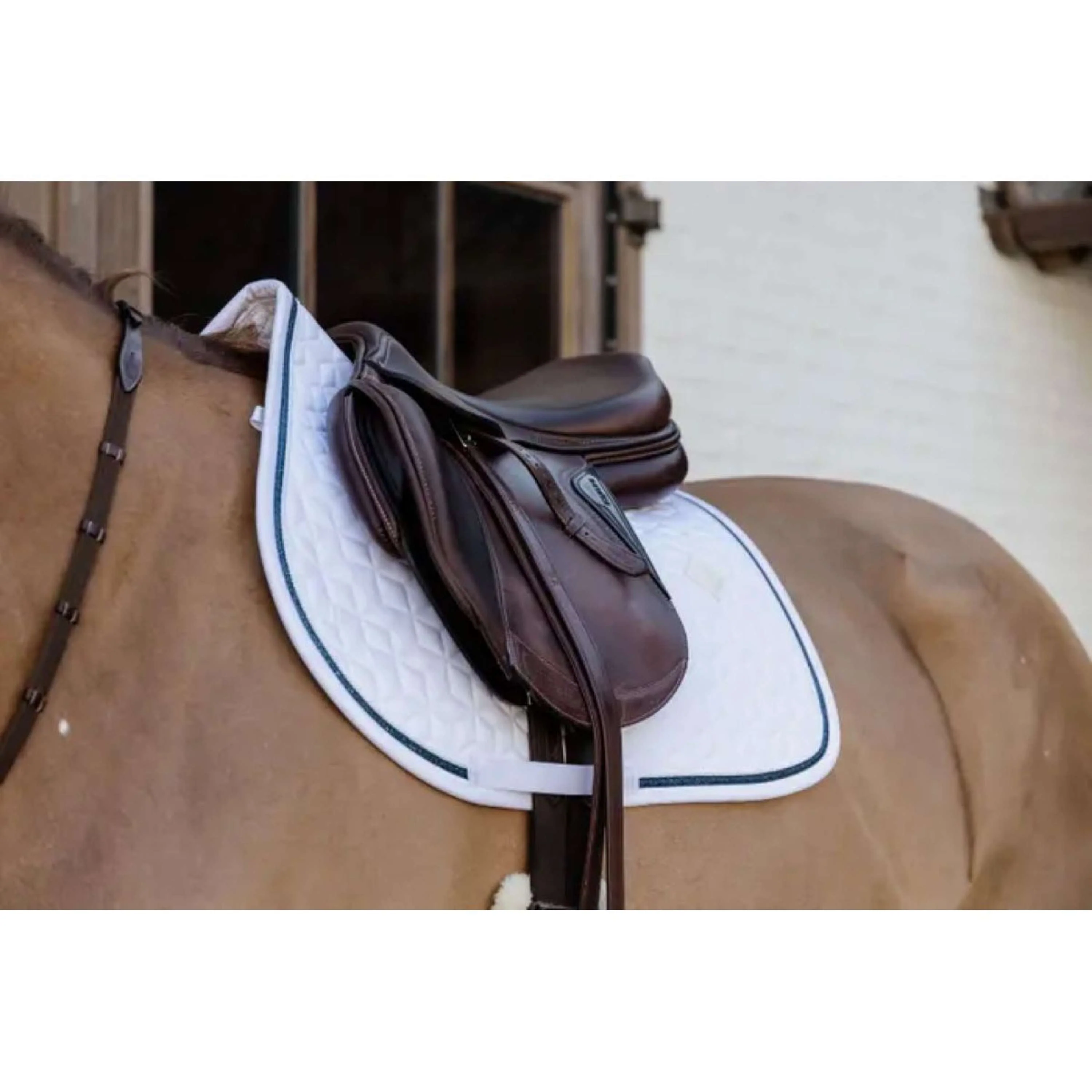Kentucky Tapis de Selle Glitter Rope de Saut blanc/marine - Image 3