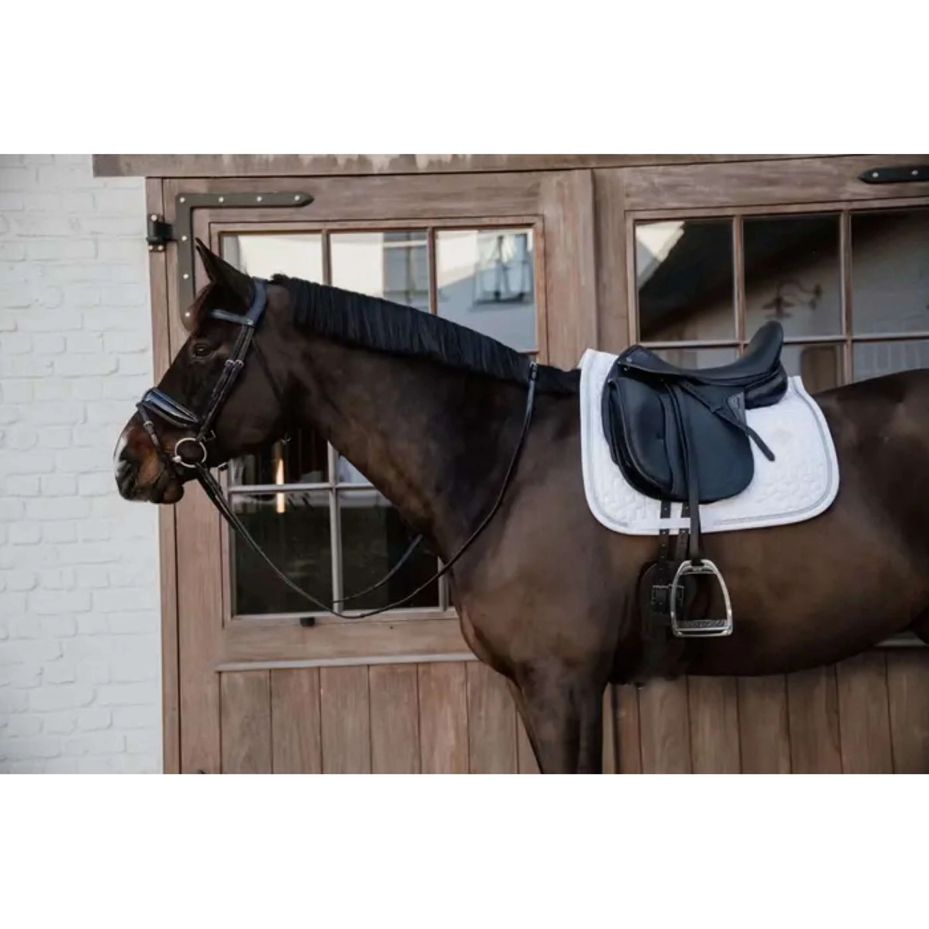 Kentucky Tapis de Selle Glitter Rope Dressage Blanc/Blanc - Image 5