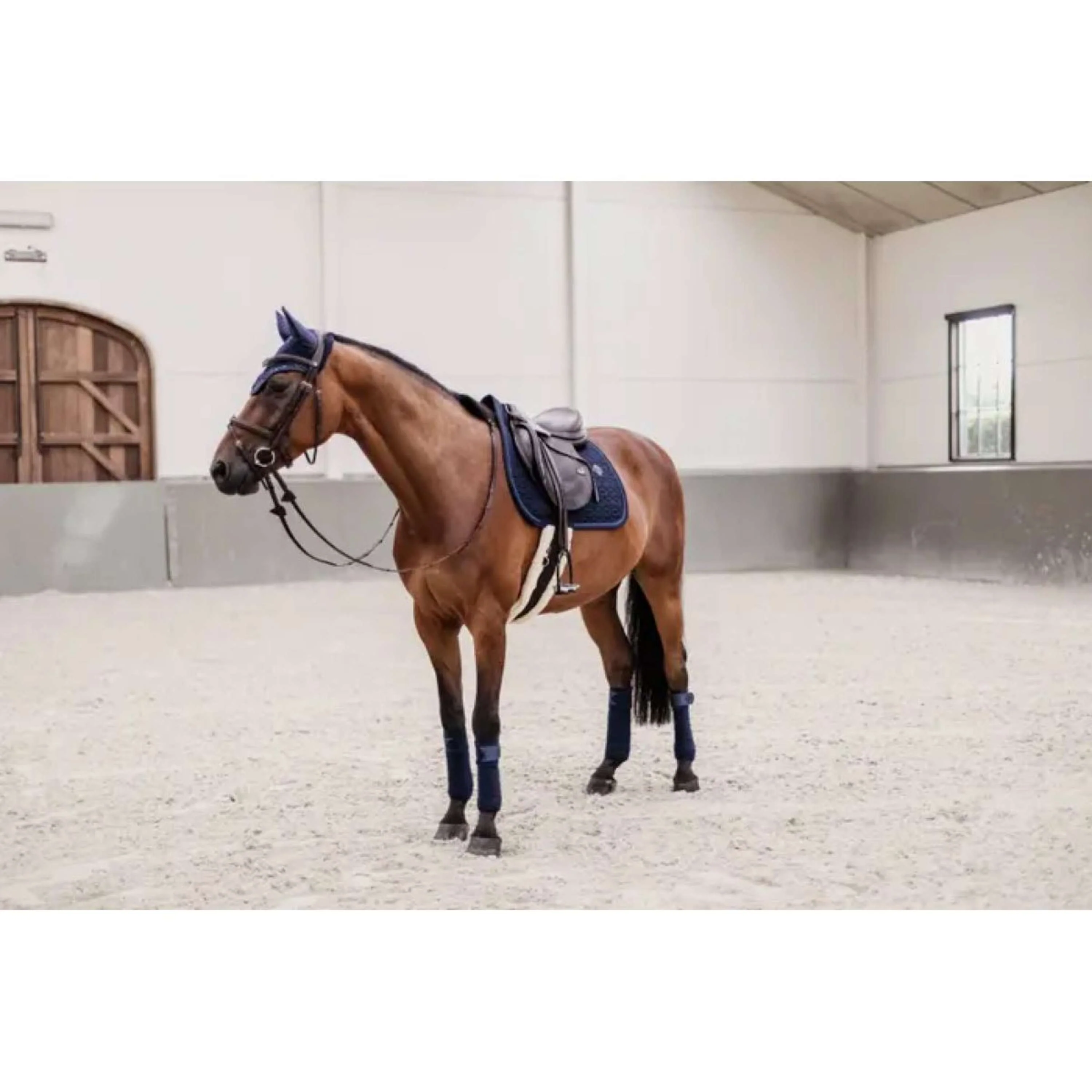 Kentucky Tapis de Selle Glitter Rope de Saut Marin - Image 10