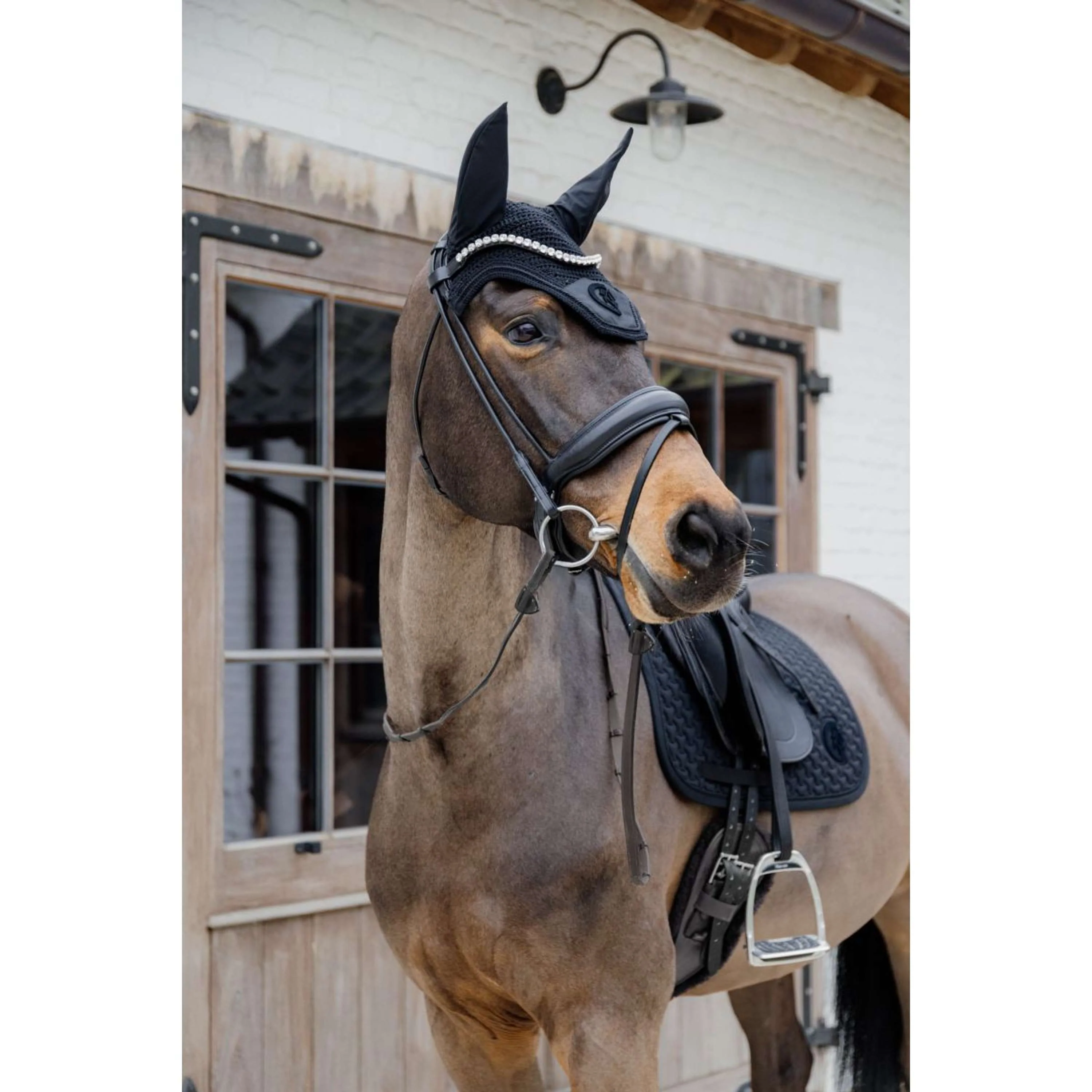 Kentucky Tapis de Selle Plaited 3D Logo Dressage Noir - Image 4