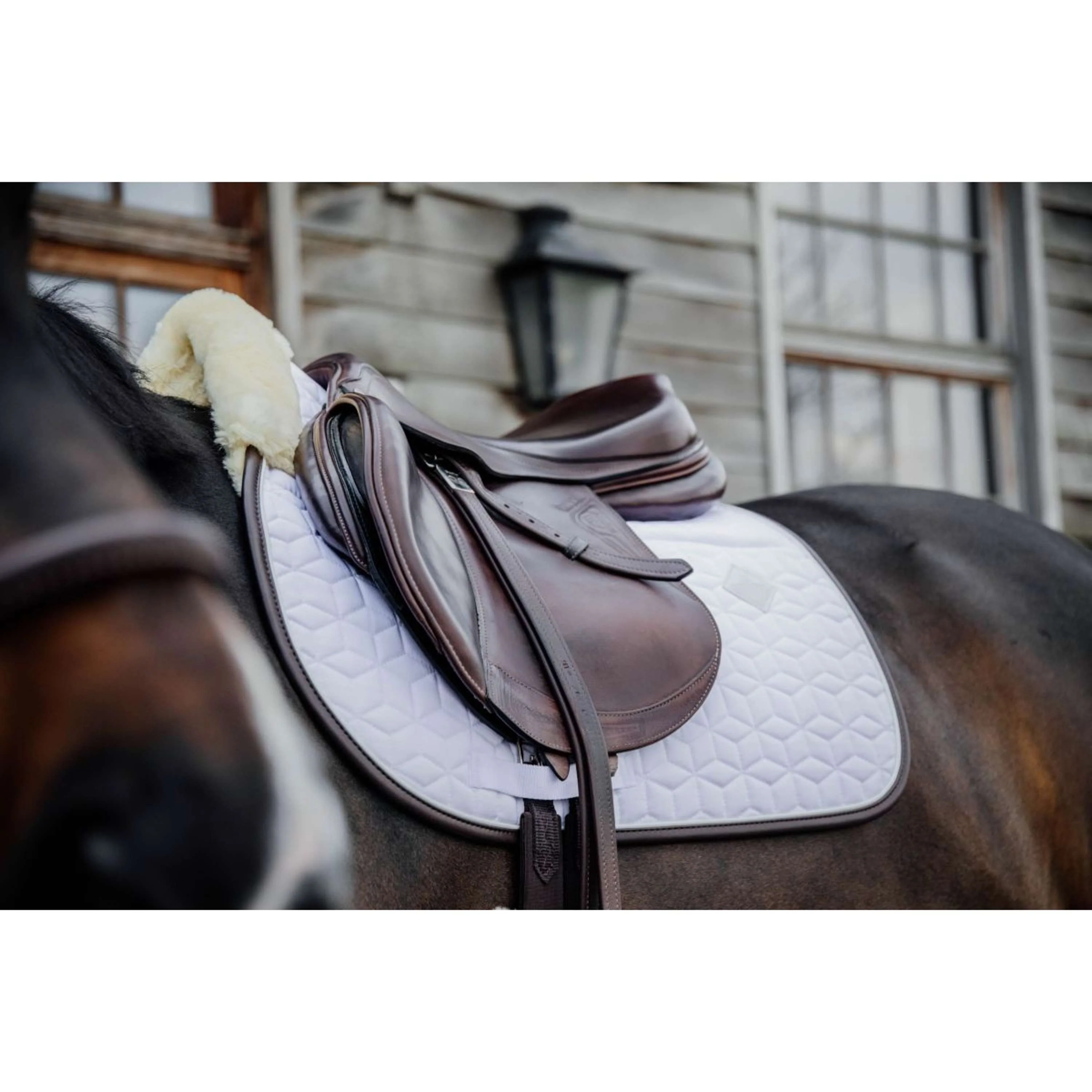 Kentucky Tapis de Selle Skin Friendly de Saut Blanc - Image 3