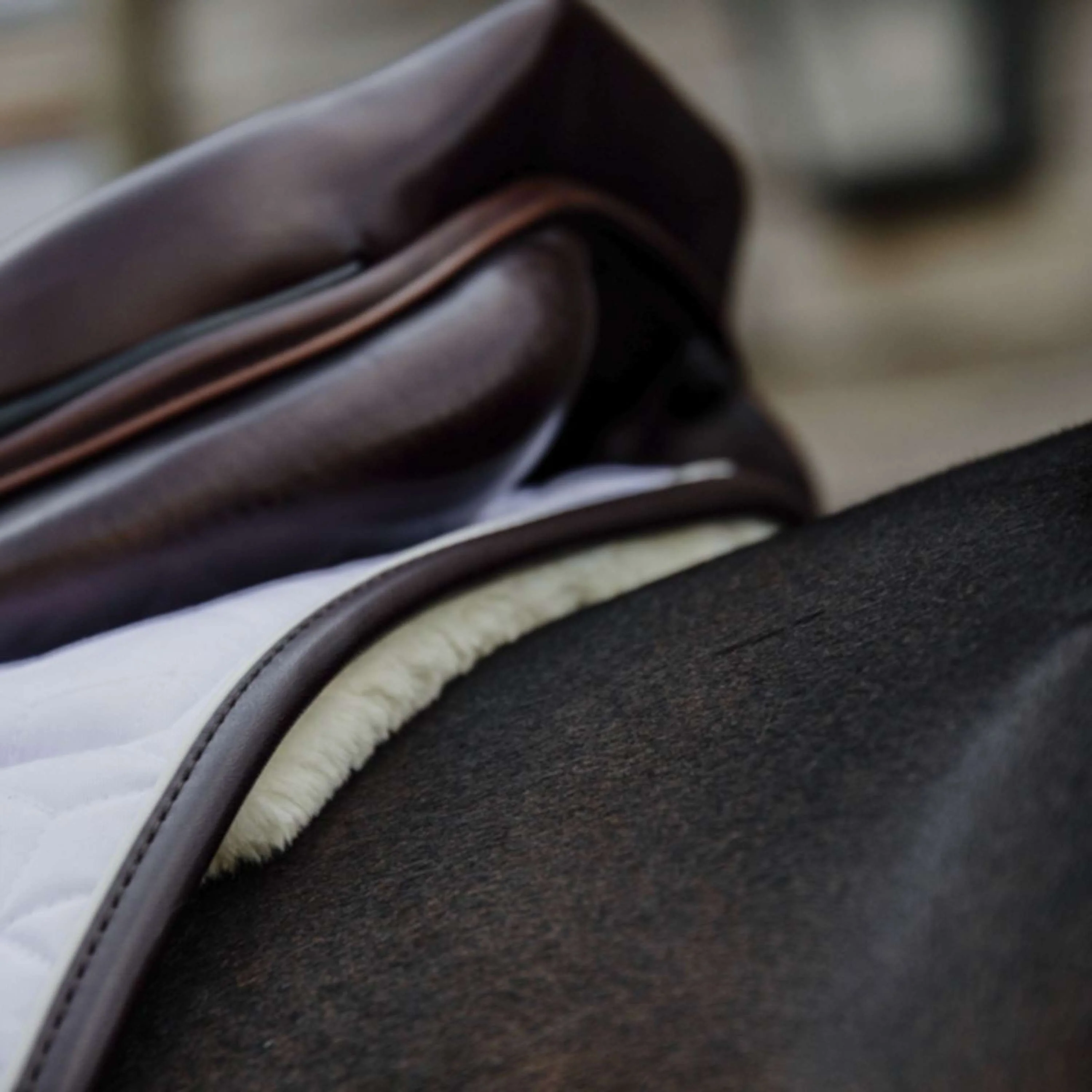 Kentucky Tapis de Selle Skin Friendly de Saut Blanc - Image 7