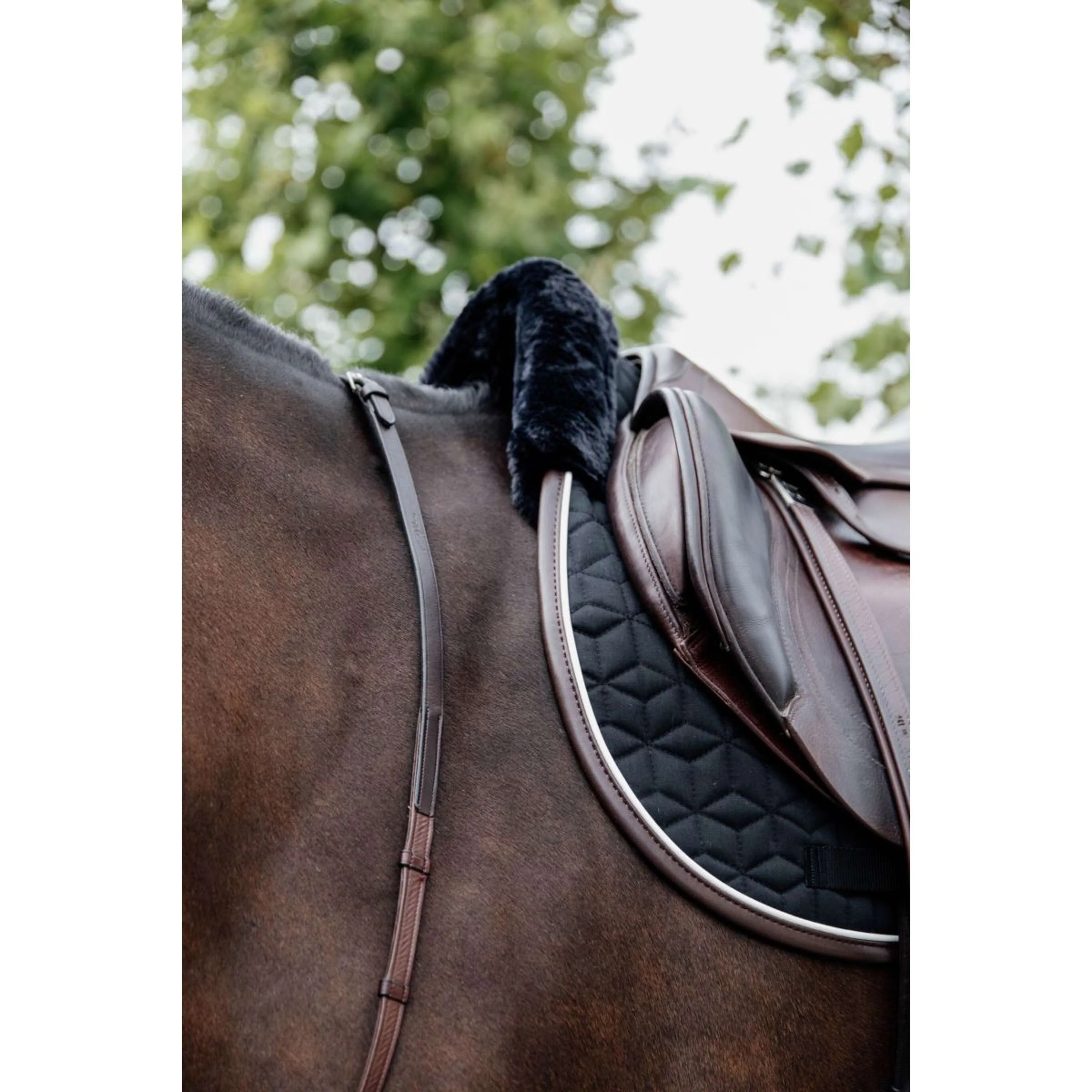 Kentucky Tapis de Selle Skin Friendly de Saut Noir - Image 4