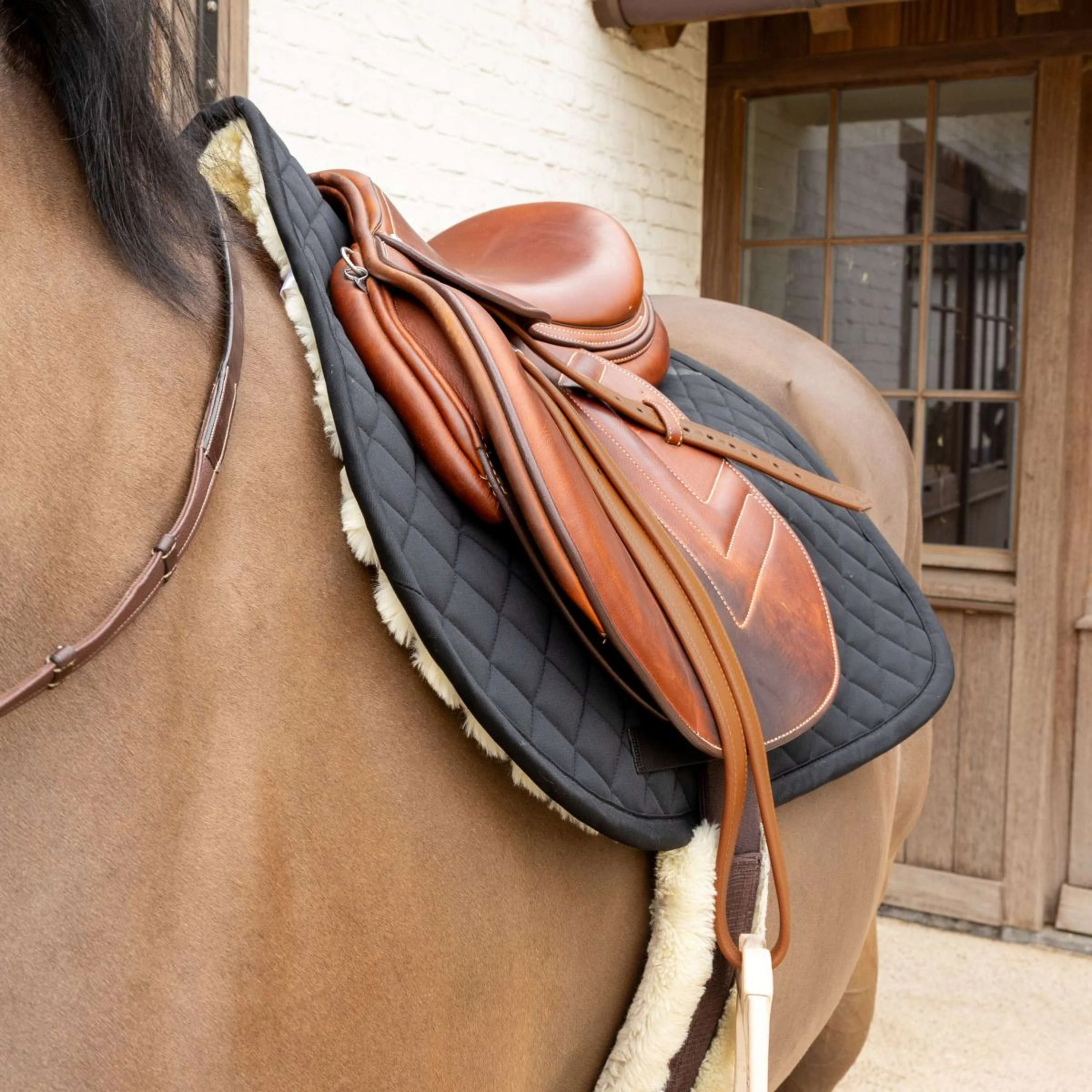 Kentucky Tapis de Selle Skin Friendly Diamond de Saut Noir - Image 2