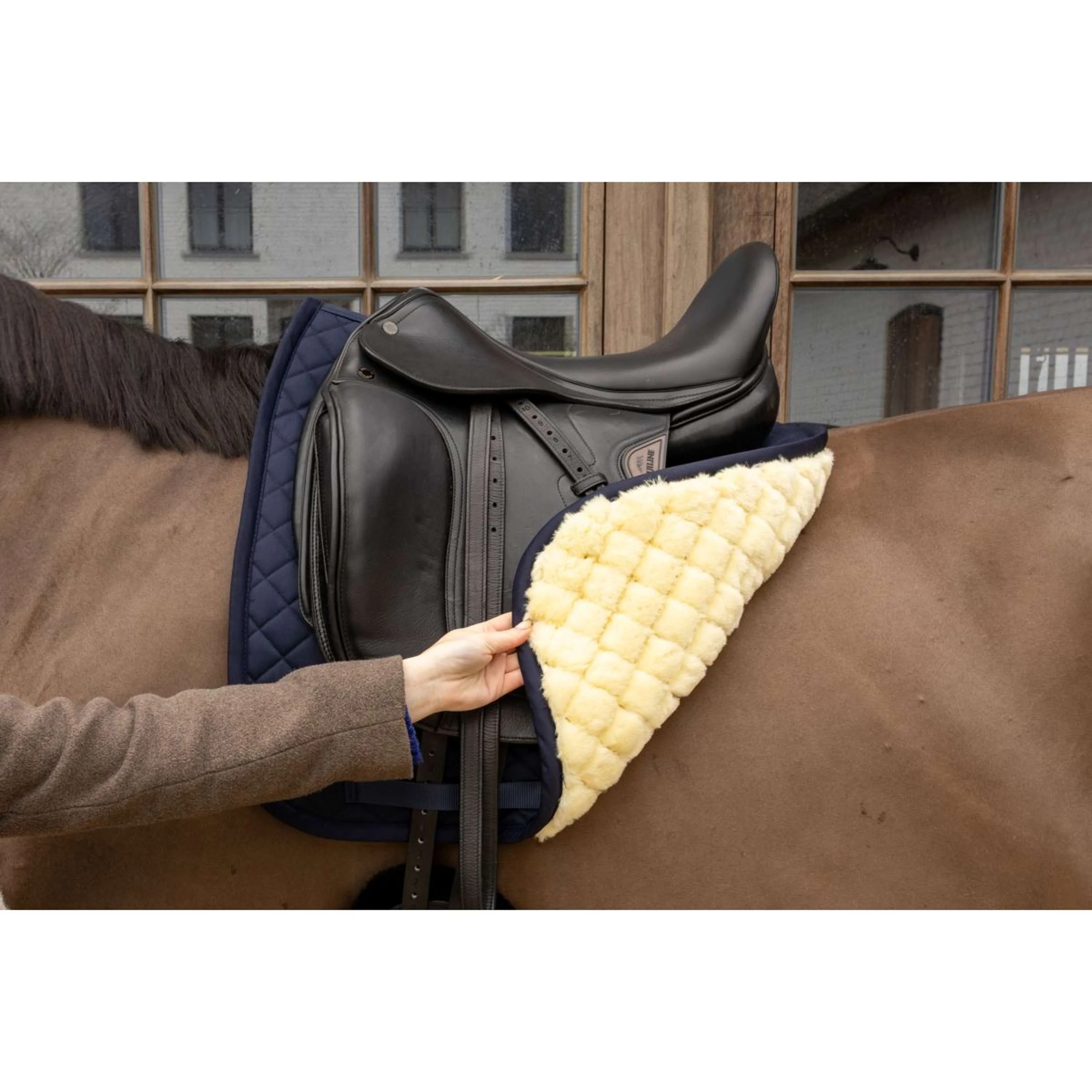 Kentucky Tapis de Selle Skin Friendly Diamond Dressage Marin - Image 3